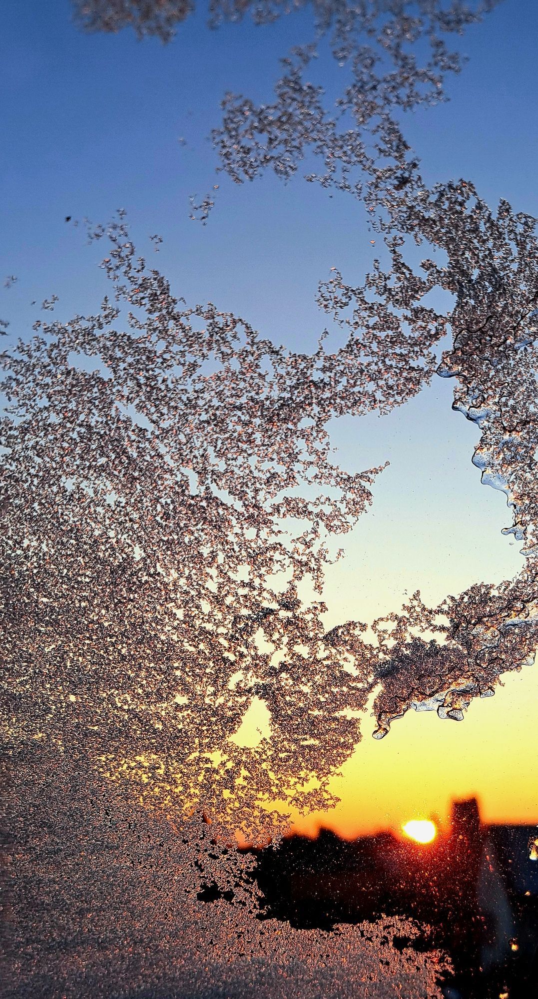 Sonnenaufgang hinter einem mit Eiskristallen übersäten Fenster.