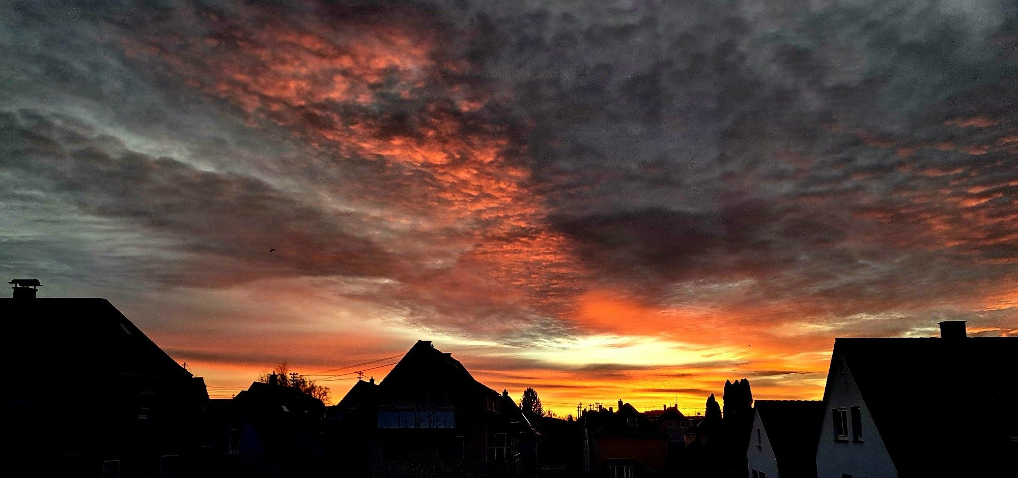 Sonnenaufgang. Orangetöne. Im Vordergrund Dachsilhouetten.