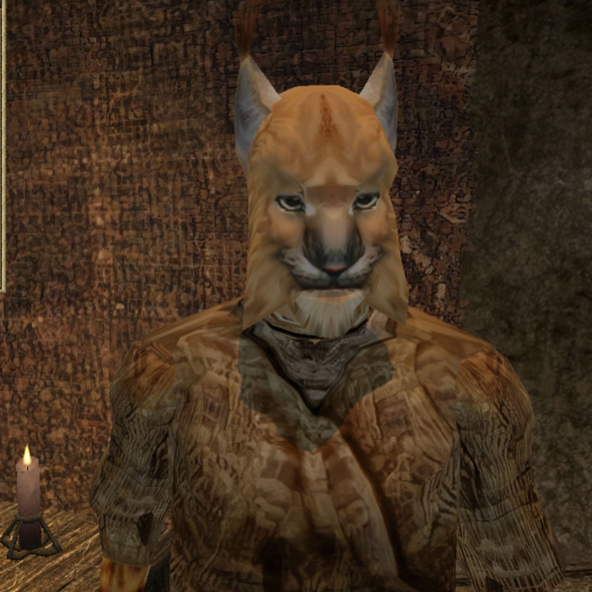 A male Khajiit wearing common clothes. He swears his weapons are just as good as daedric weapons.