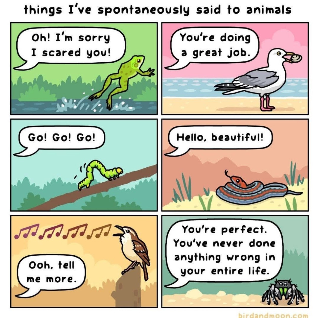 things I've spontaneously said to animals: 
Oh! I'm sorry I scared you!- to a frog
You're doing a great job.-to a seagull
Go! Go! Go!- to an inchworm
Hello, beautiful!- to a snake
Ooh, tell me more.-to a singing bird
You're perfect.
You've never done anything wrong in your entire life- to a jumping spider