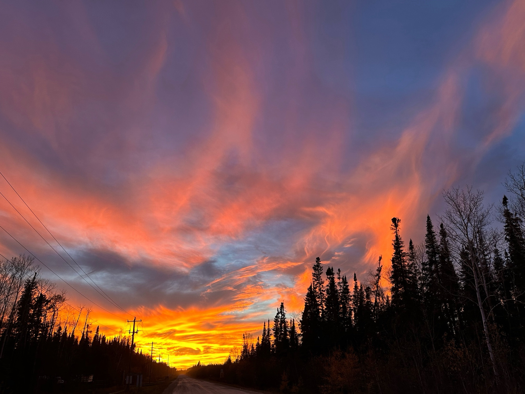 A blaze of orange and yellow lights up the end of a gravel road that is lined by the silhouettes of Spruce trees. This incredibly bright sunset reaches up into the sky, painting, the wispy clouds, dark red against the fading blue.