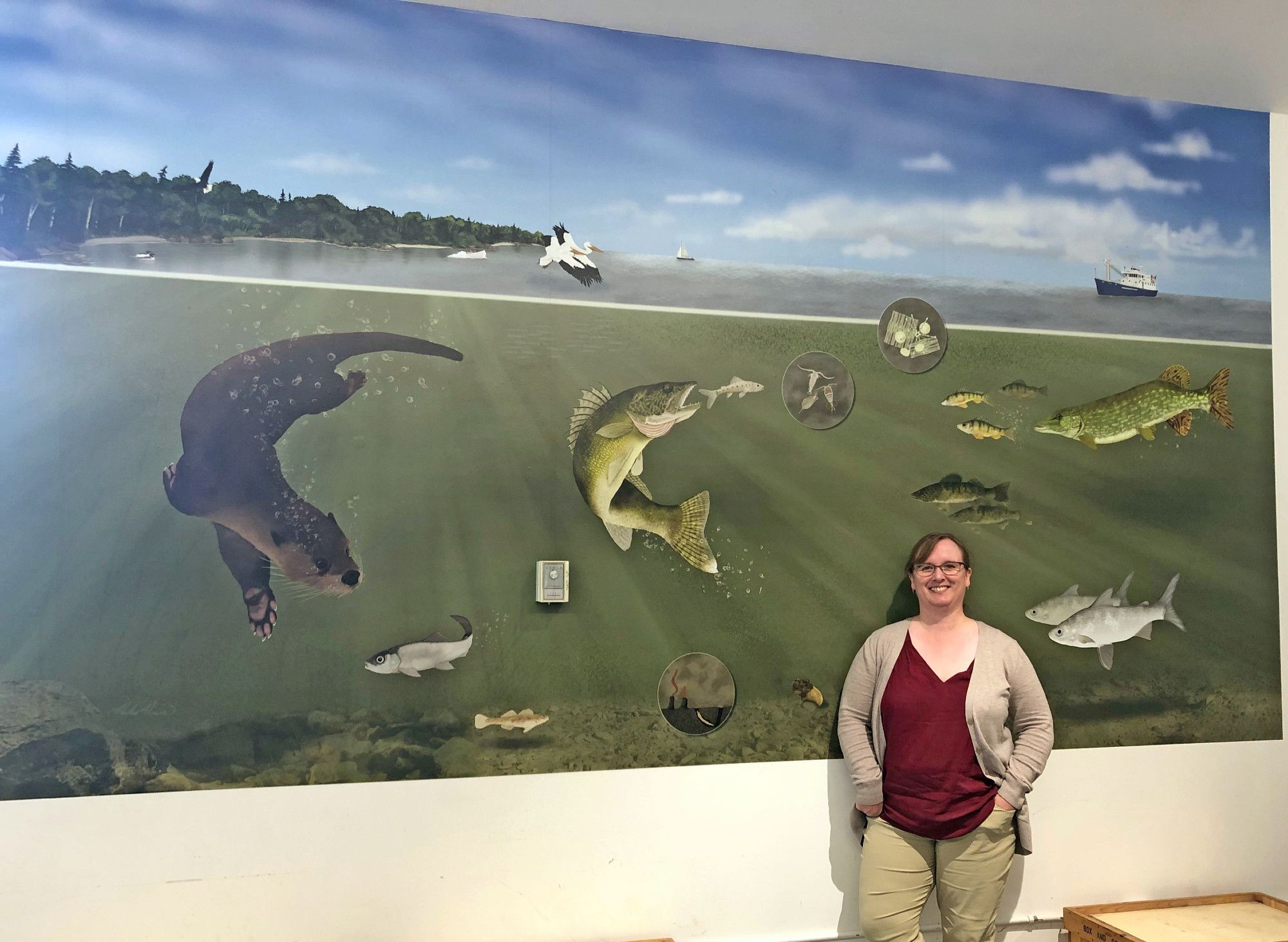 A woman (the artist) stands in front of a mural that she painted depicting the lake Winnipeg food web. Below the water, you can see an otter, walleye, perch, pike, whitefish, cisco, and other animals swimming and living out their lives. Above the water are pelicans, ducks and a collection of boats from a small finish yawl to a large research vessel.