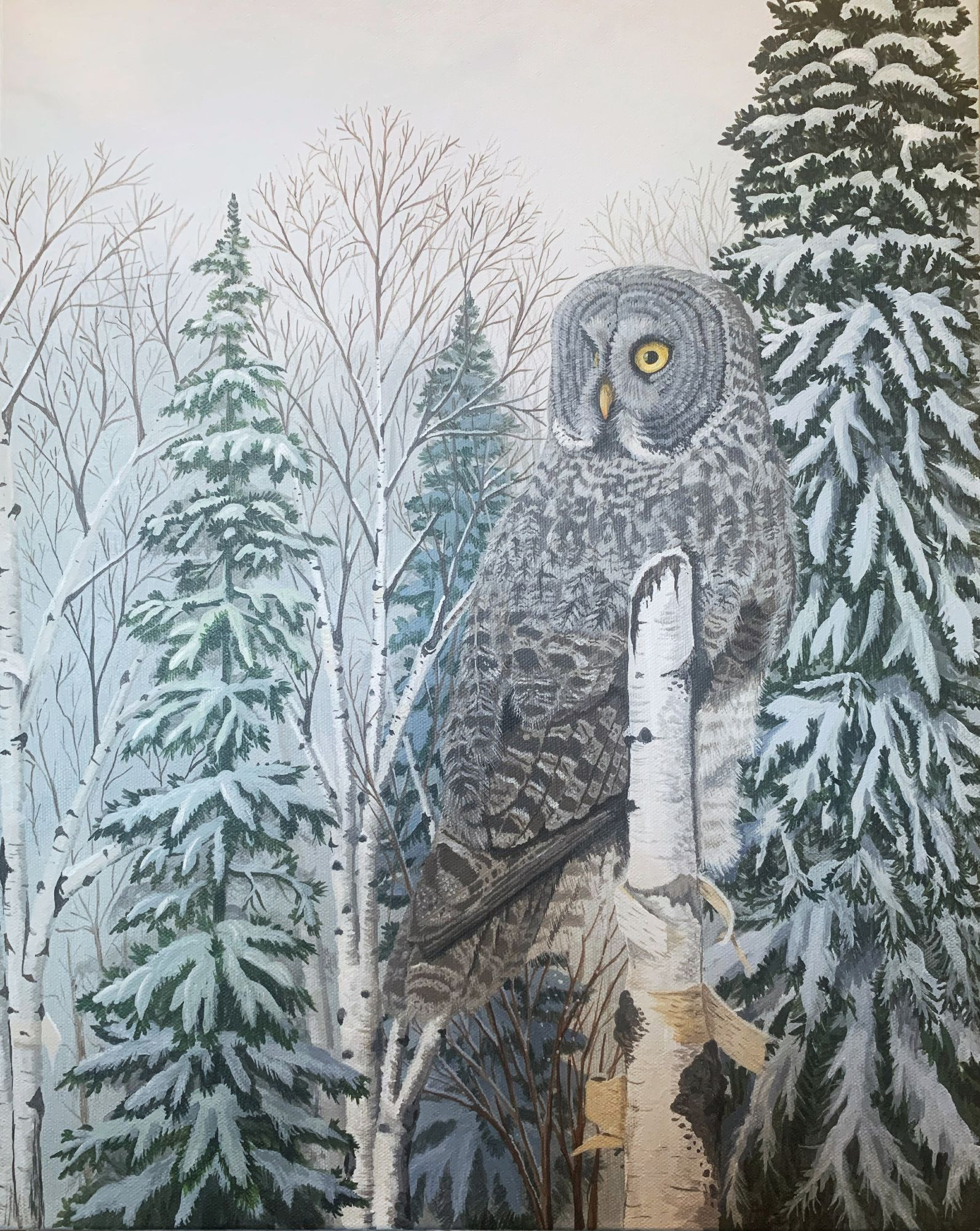 Acrylic painting on canvas of a great gray owl perched on a white birch snag in the winter. It is placed against the background of a snowy spruce and birch forest.