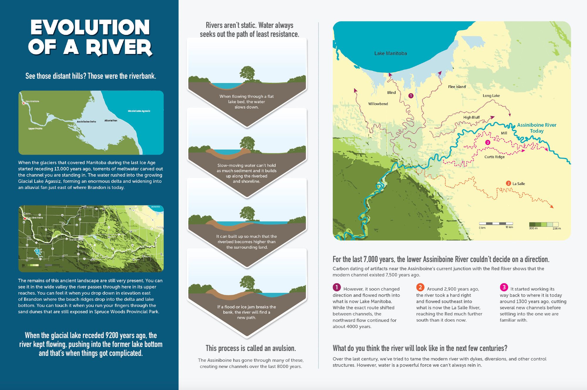 An interpretive panel detailing the evolution of the channel of the Assiniboine River in Manitoba. The left third shows how the river used to flow into Glacial Lake Agassiz, forming a huge delta that you can still detect on the landscape today. The middle explains the process called avulsion when a slow-moving river build up sediment to the point that it breaks the bank and starts a new channel. The last third shows the different channels the Assiniboine river used to have over the last 9000 years.