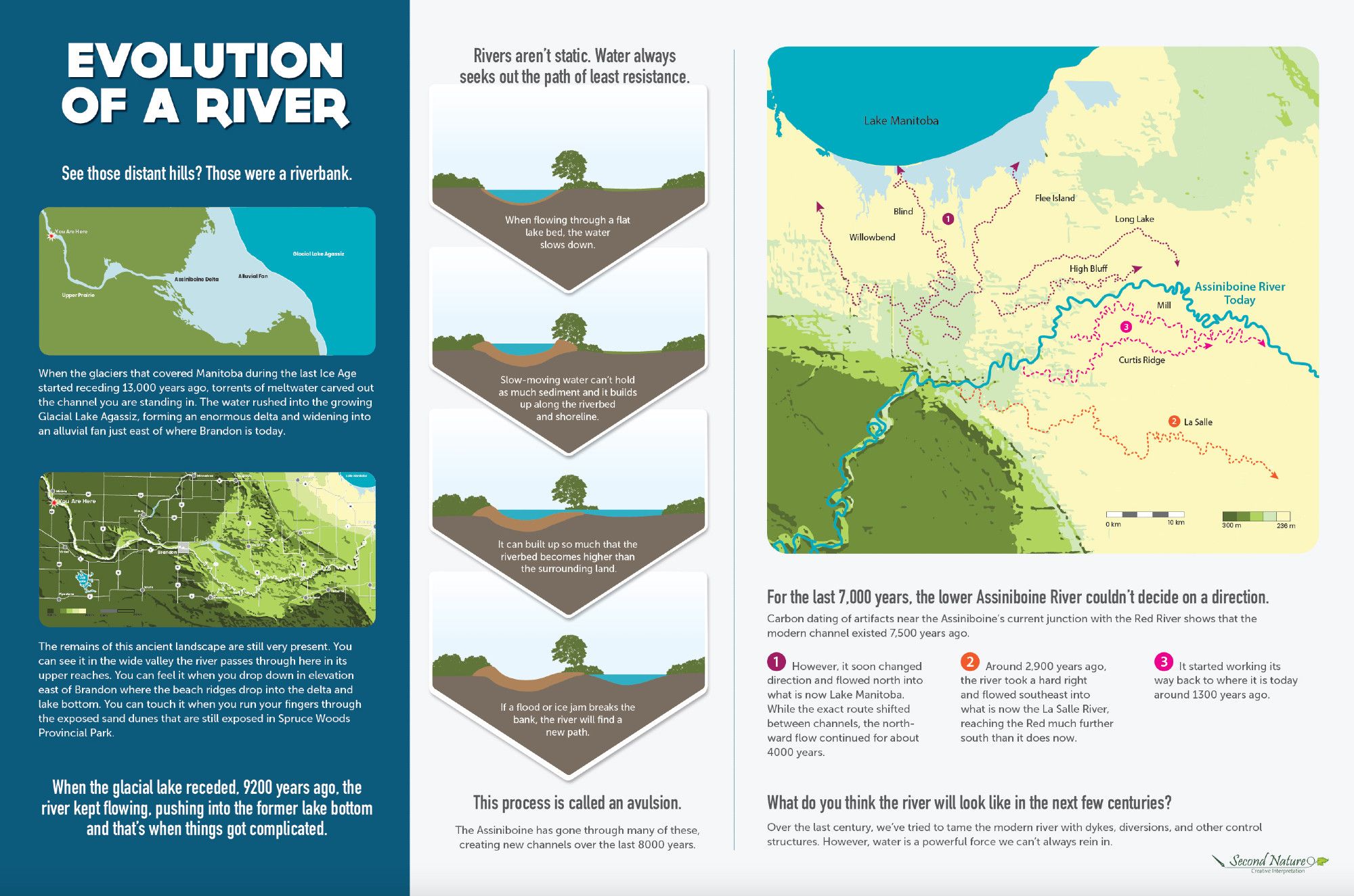 An interpretive panel detailing the evolution of the channel of the Assiniboine River in Manitoba. The left third shows how the river used to flow into Glacial Lake Agassiz, forming a huge delta that you can still detect on the landscape today. The middle explains the process called avulsion when a slow-moving river build up sediment to the point that it breaks the bank and starts a new channel. The last third shows the different channels the Assiniboine river used to have over the last 9000 years.