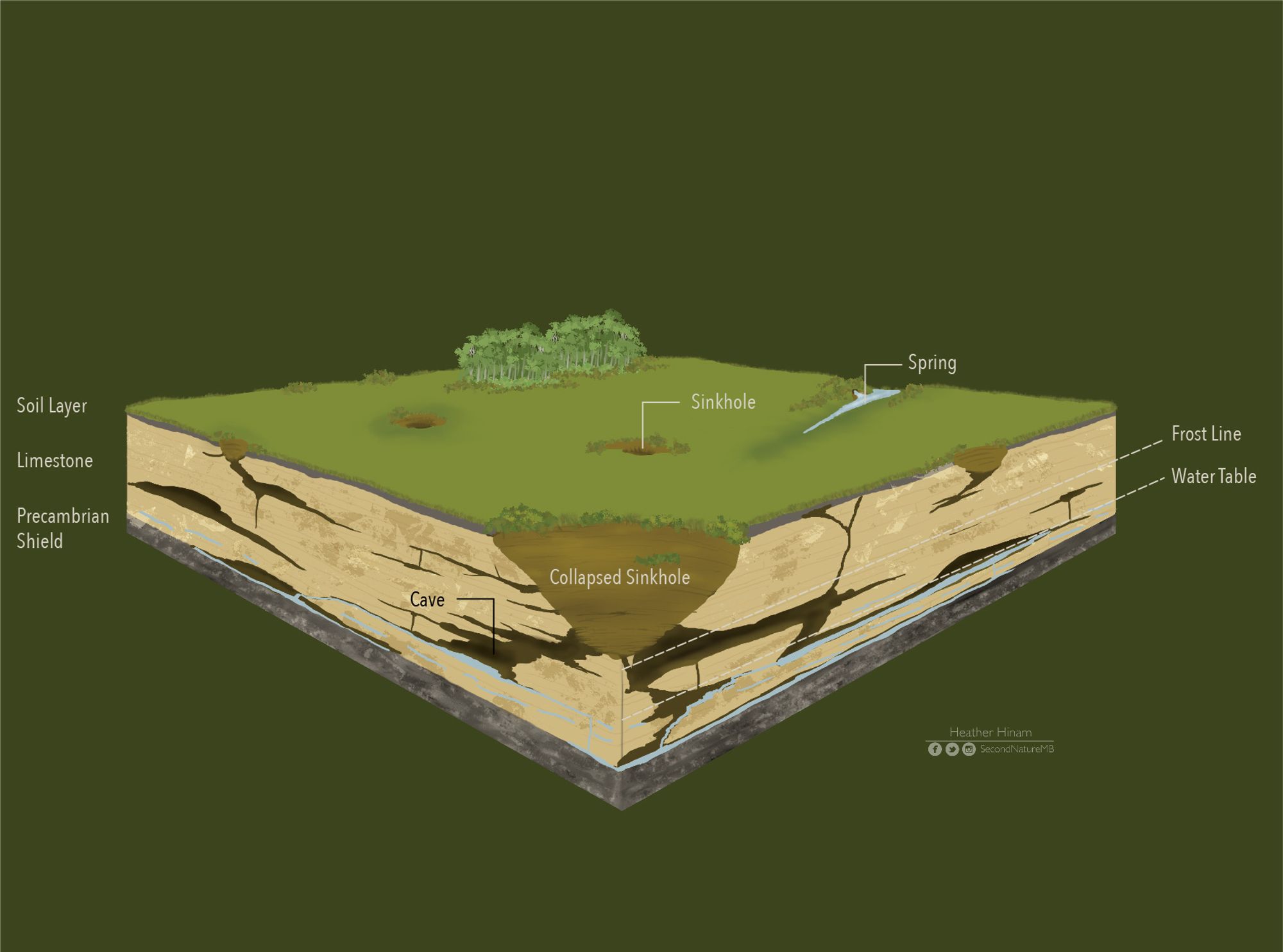 A 3-D digitally painted diagram of karst topography. The cutaway shows layers of limestone with fissures and caves. Some have water in them while others are dry. Many extend below the frost line. One the surface are a couple of sink holes leading into the caves. One of them is a spring where the water table meets the surface.