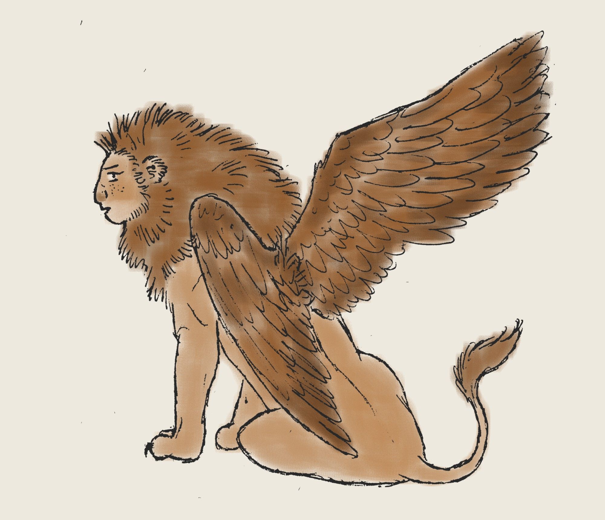 Drawing of a somewhat confused or annoyed sphinx. They have a fluffy mane and freckles and brown wings, one outstretched. They are sitting facing away from the viewer, but their head is turned so their face is in profile.