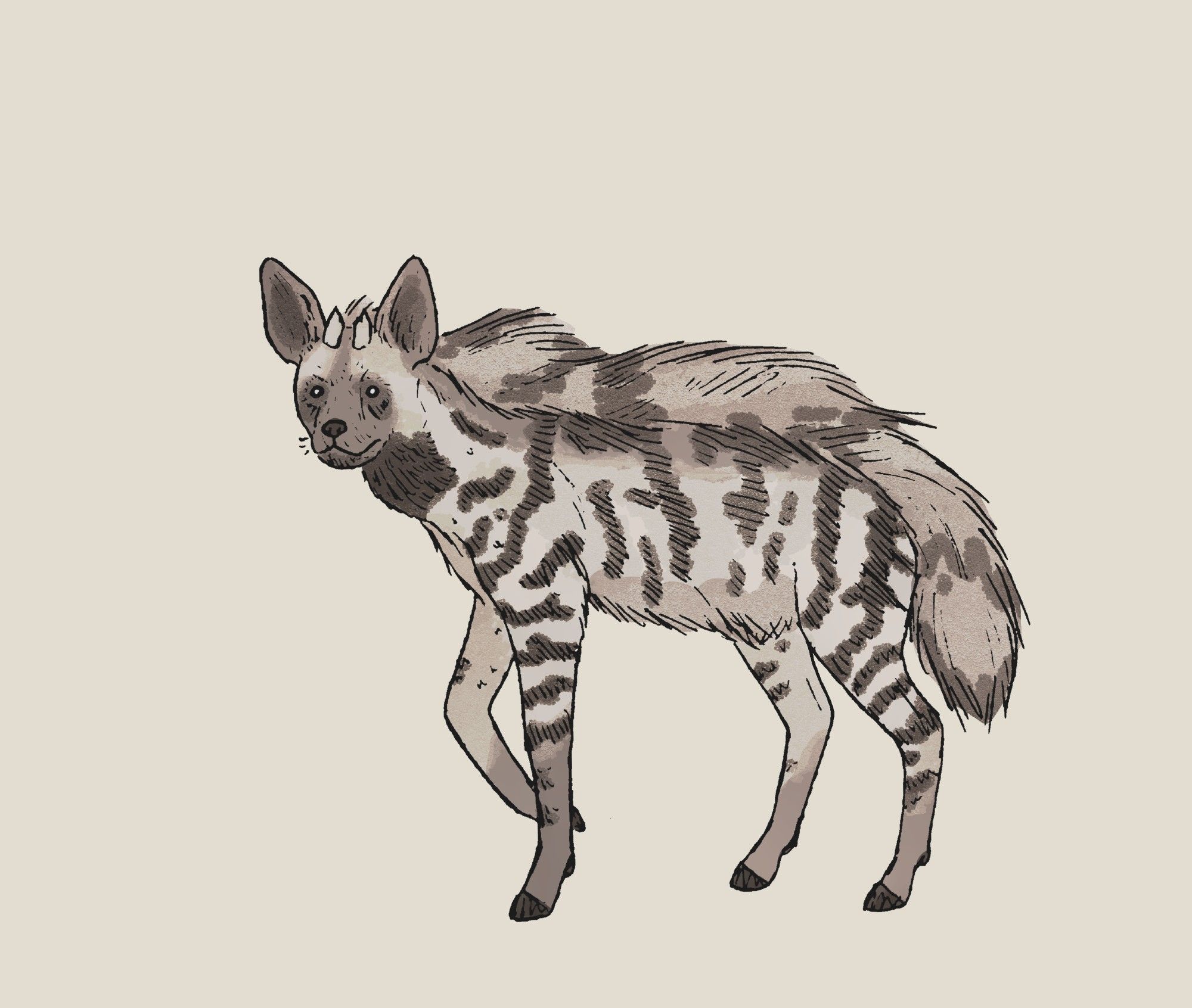 Drawing of a striped hyena that is not quite right. They have little horns on their head and hooves instead of paws. They look unhappy, their mane fluffed up.