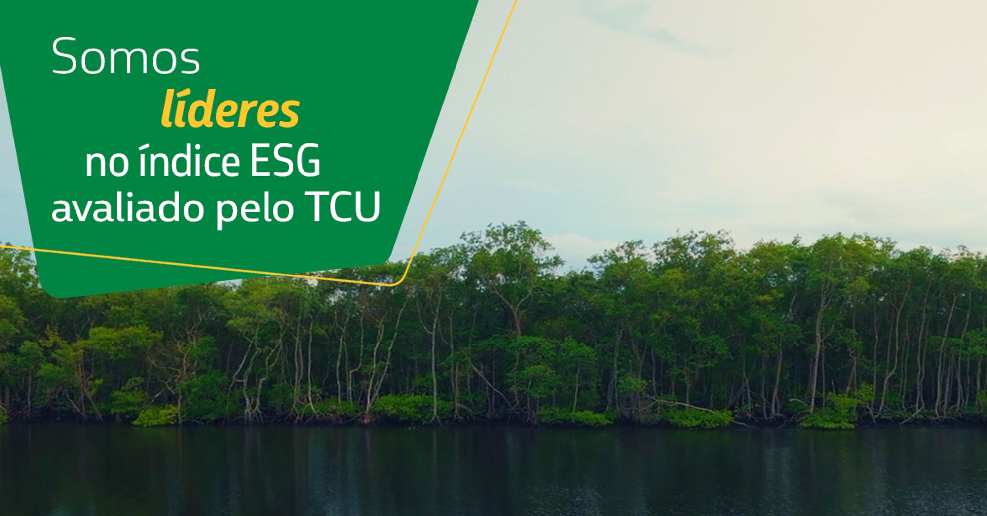 Imagem de uma floresta à beira d’água, com o texto na parte superior “Somos líderes no índice ESG avaliado pelo TCU”