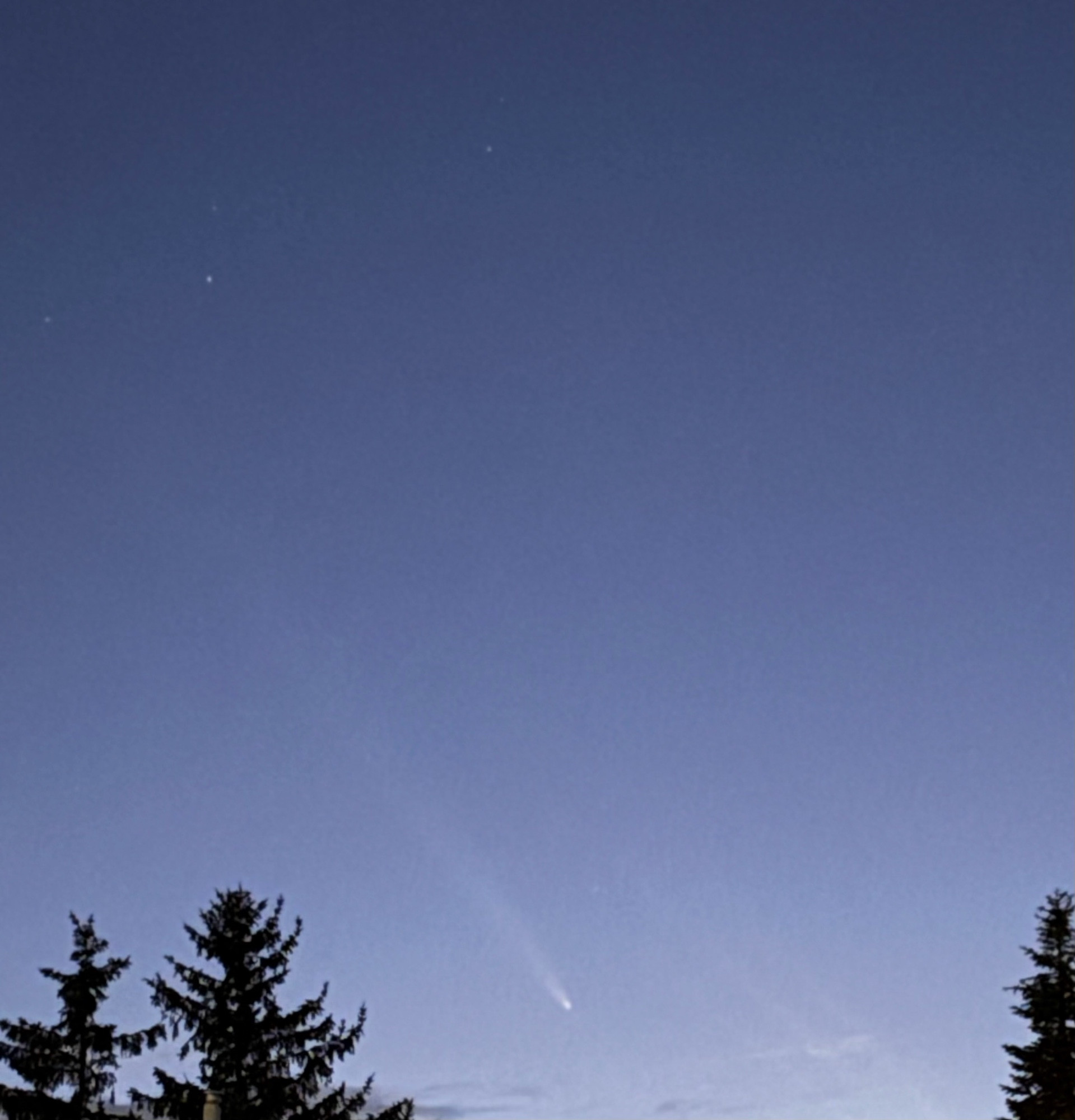 Comet with tail extending towards top left of picture in a twilight sky