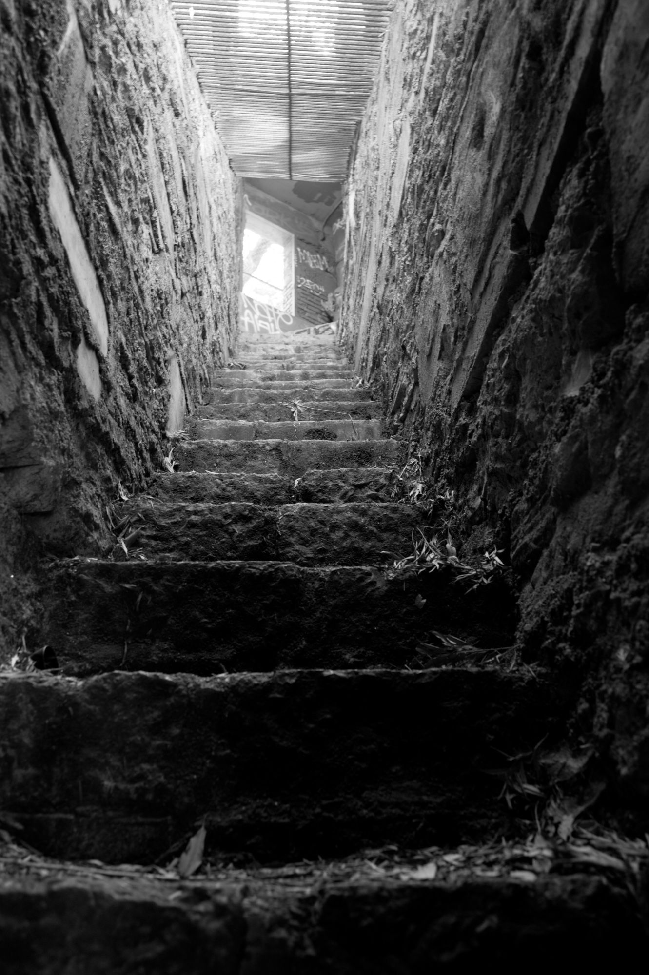 looking up a staircase, Griffith Park Zoo