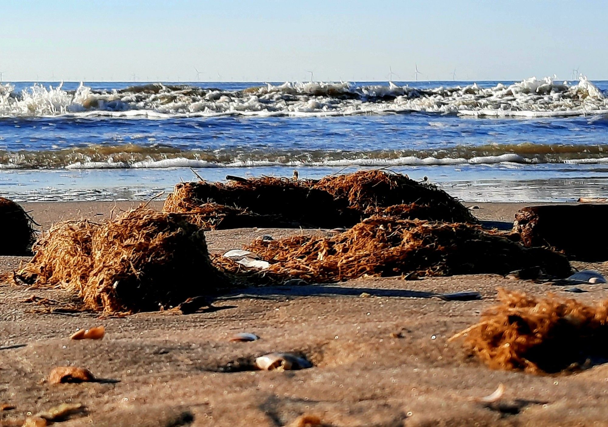 -De wilde zee. Anzumerken: Die Seetangbüschel sind nur so 5 cm hoch. Und das Wasser nicht so blau. Das macht der Filter.
Special effects: Der Klös.
-Frugales Mahl am Strand. Wer hat da nicht immer schon von geträumt.
-Sonnenuntergang mit Brett vorm Kopf.
#DerKlösfährtnachHolland