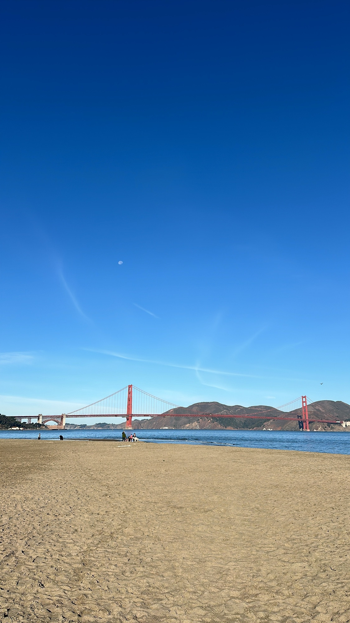 The Golden Gate Bridge from Crissy field on a gorgeous sunny day, with a daytime moon in the sky. 