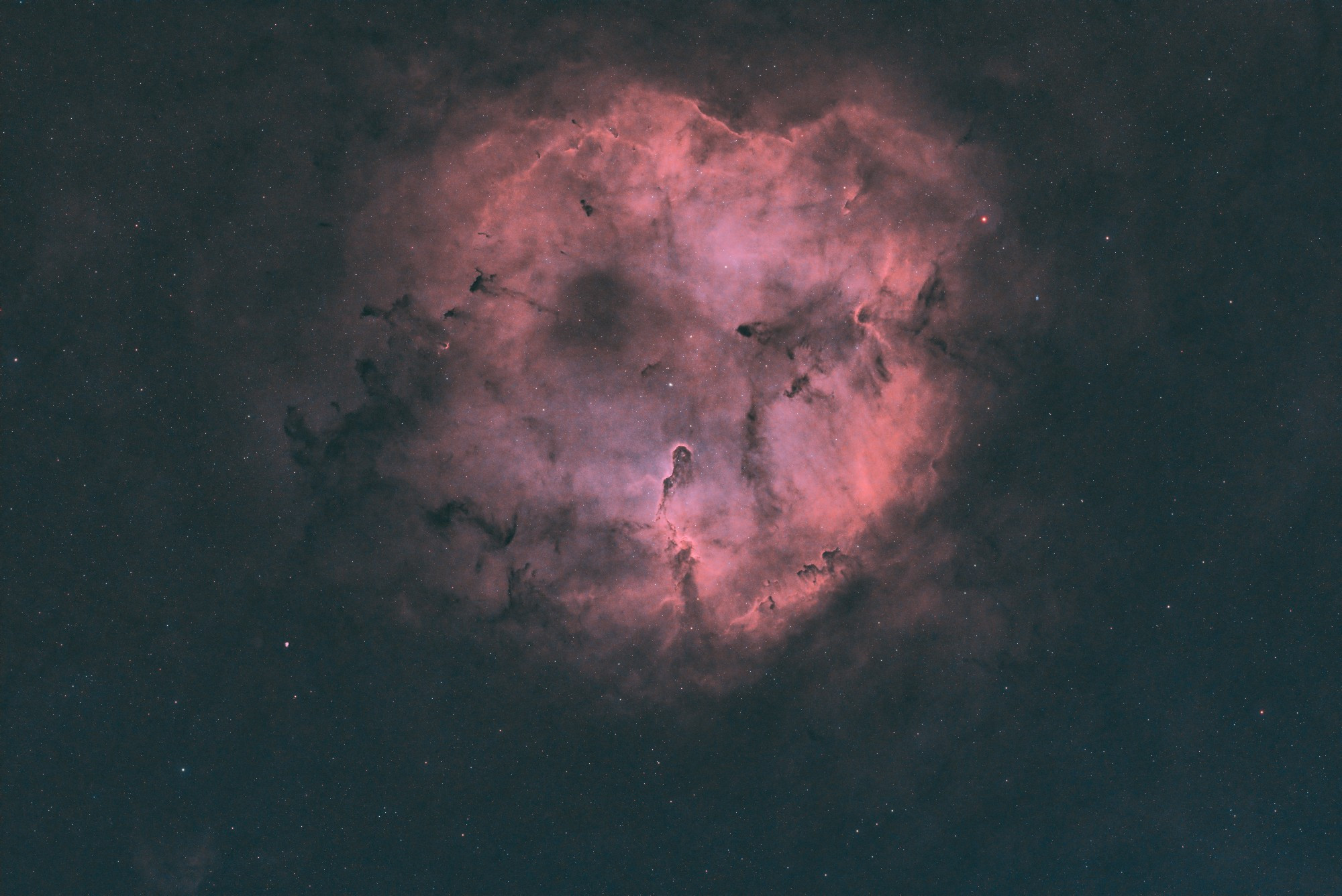 Gaseous interstellar nebula that resembles an elephant's trunk