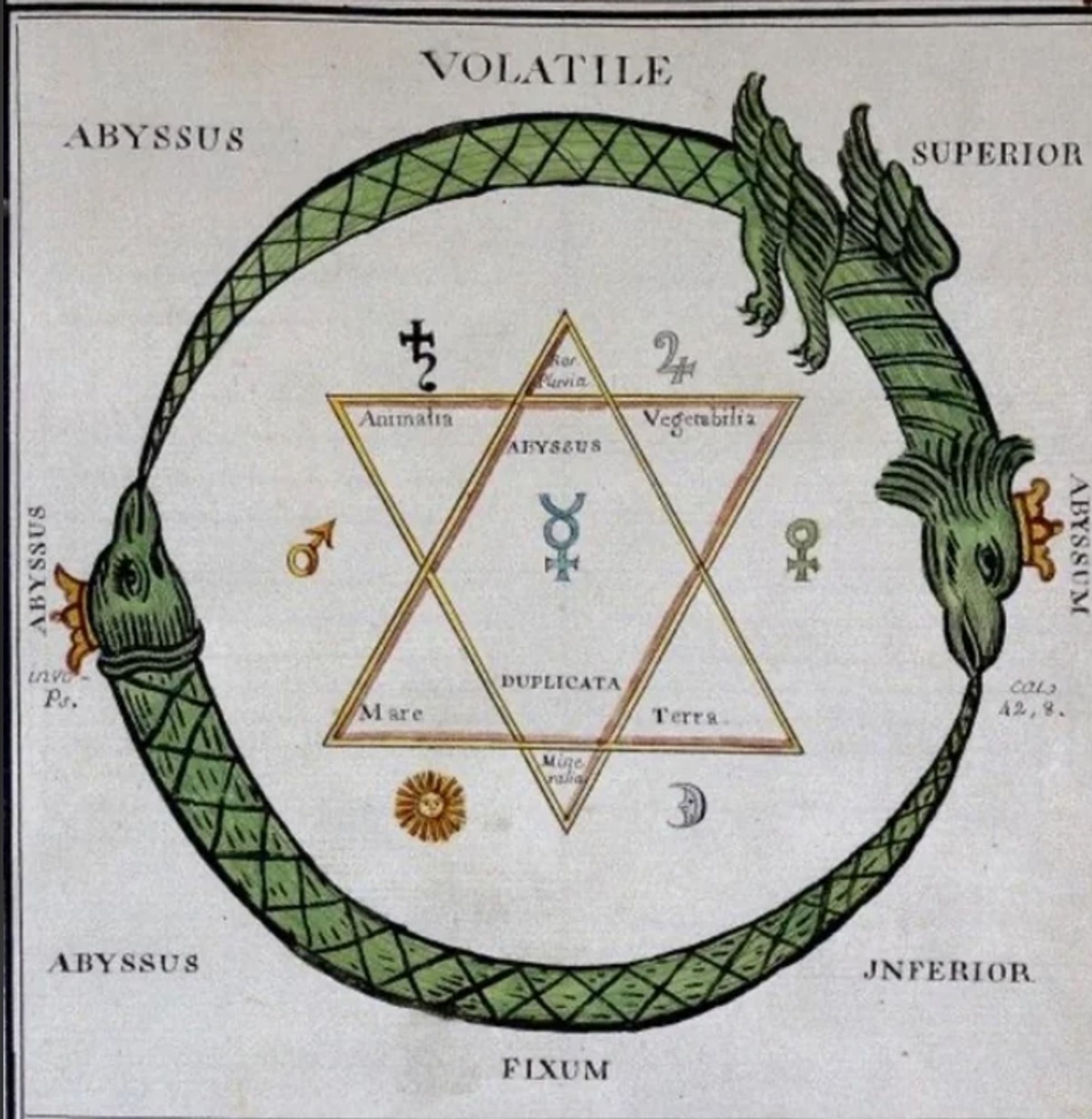 hexagrama gnóstico alquímico com cada ponta representando um símbolo de transformação alquimica. dragão verde de uroboros circuncidado o hexagrama 