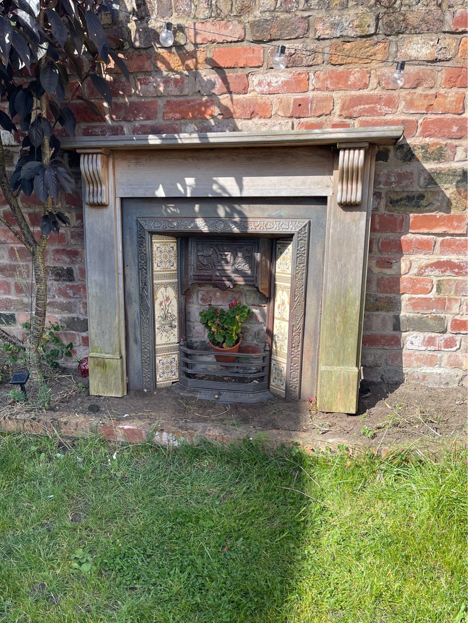 Victorian cast iron fireplace in a garden, under a tree, with dappled sun beams across it, with a plant in the firebox.