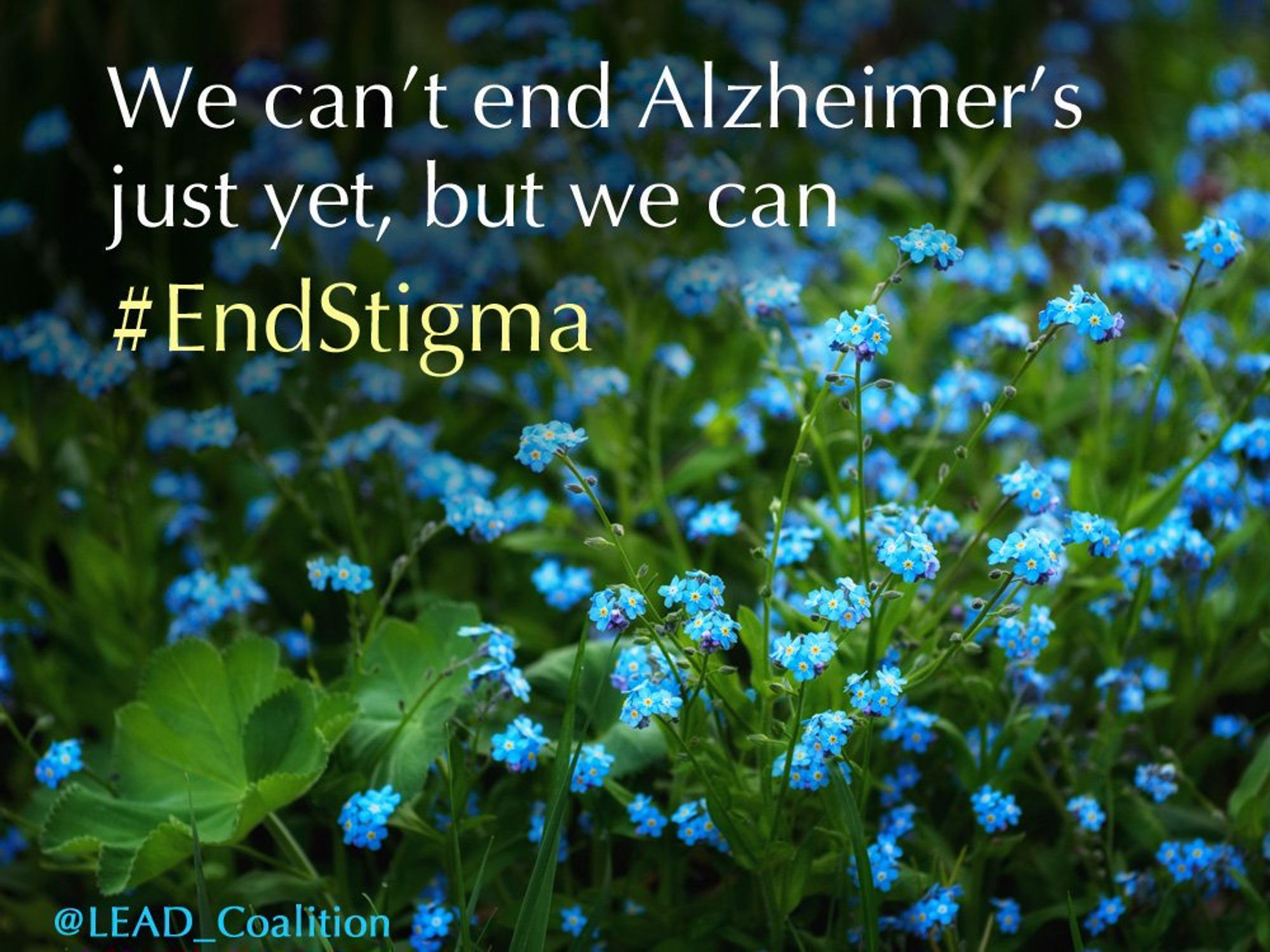 "We can't end Alzheimer's just yet, but we can end stigma." ~ Ian Kremer