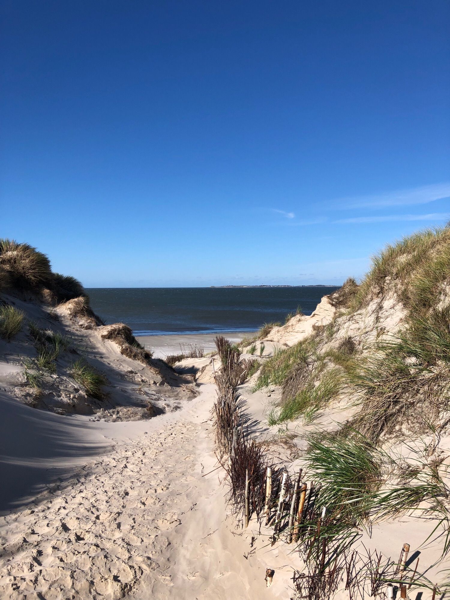 Durch die Amrumerdünen zeigt sich Sylt