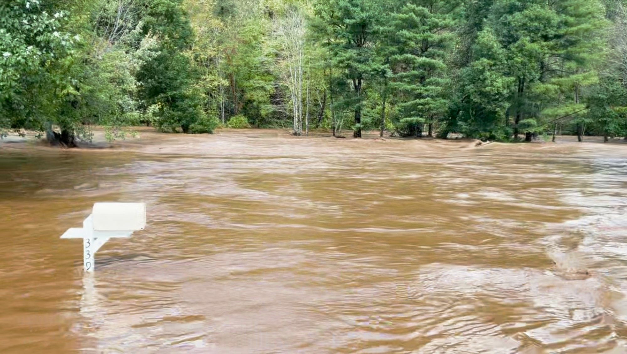 muddy flood waters beneath trees and filling a yard and more, including a white mailbox only the top of which is above the water