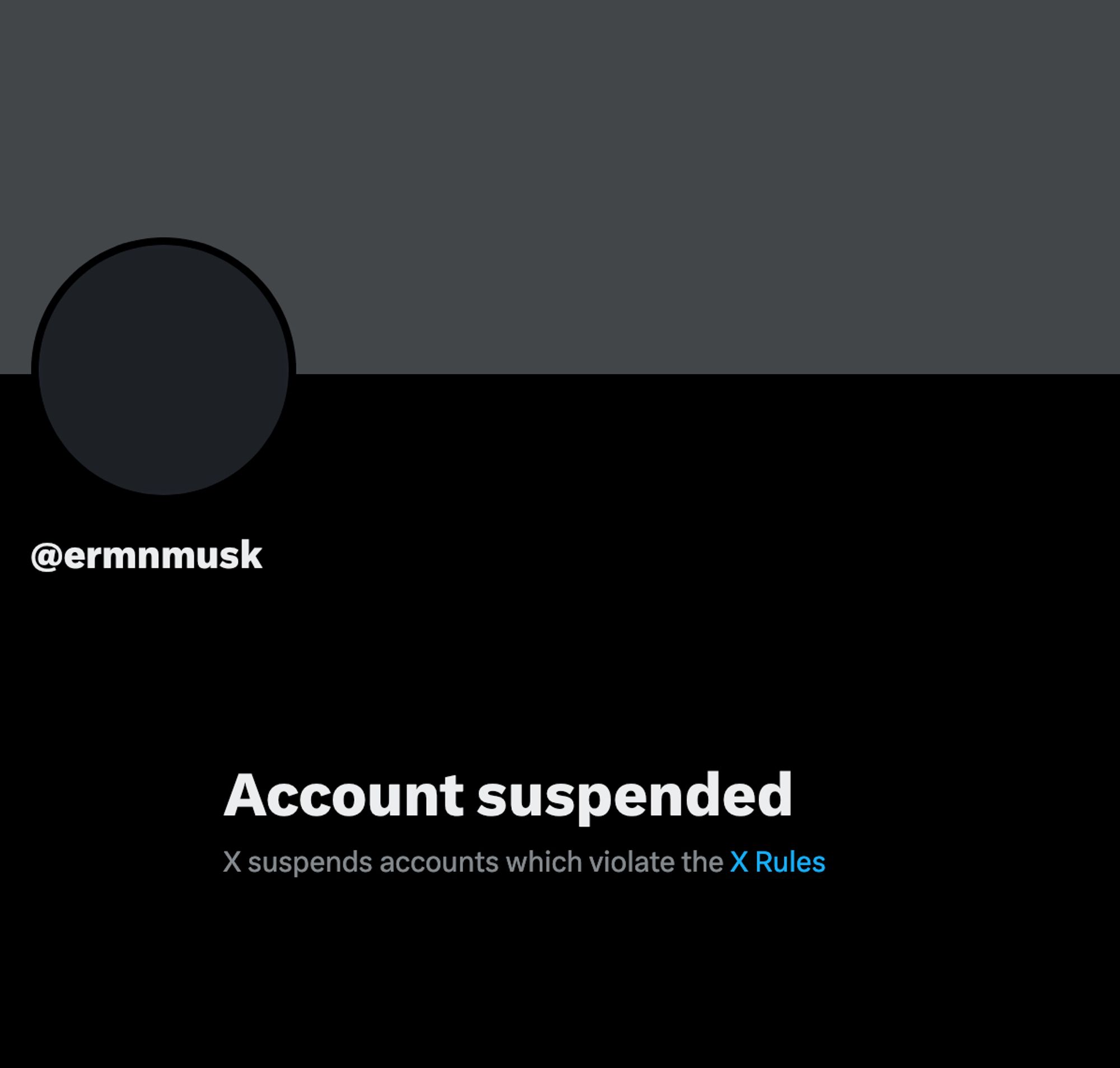 Elon Musk's alt-account @ermnmusk was suspended. Screenshot shows the profile page with the words: "Account suspended".