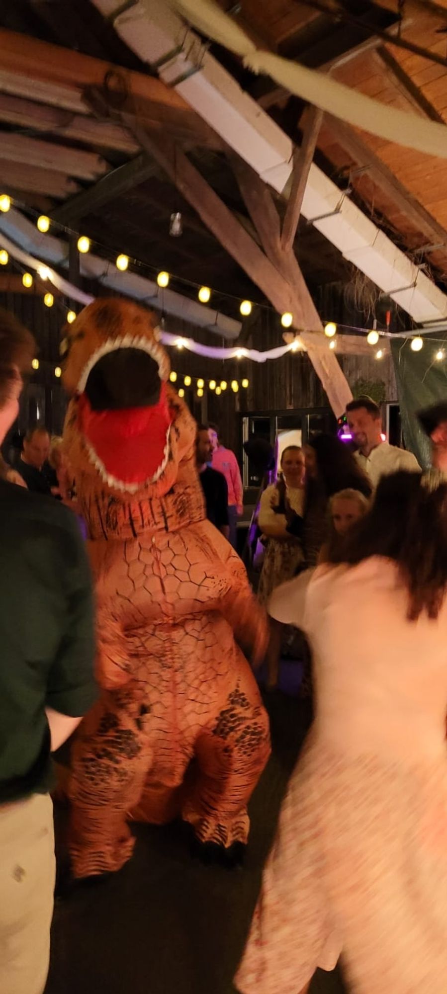 Traditionelle Hochzeit in Bayern. Auf der Tanzfläche rockt ein Gast im Dinosaurier-Kostüm