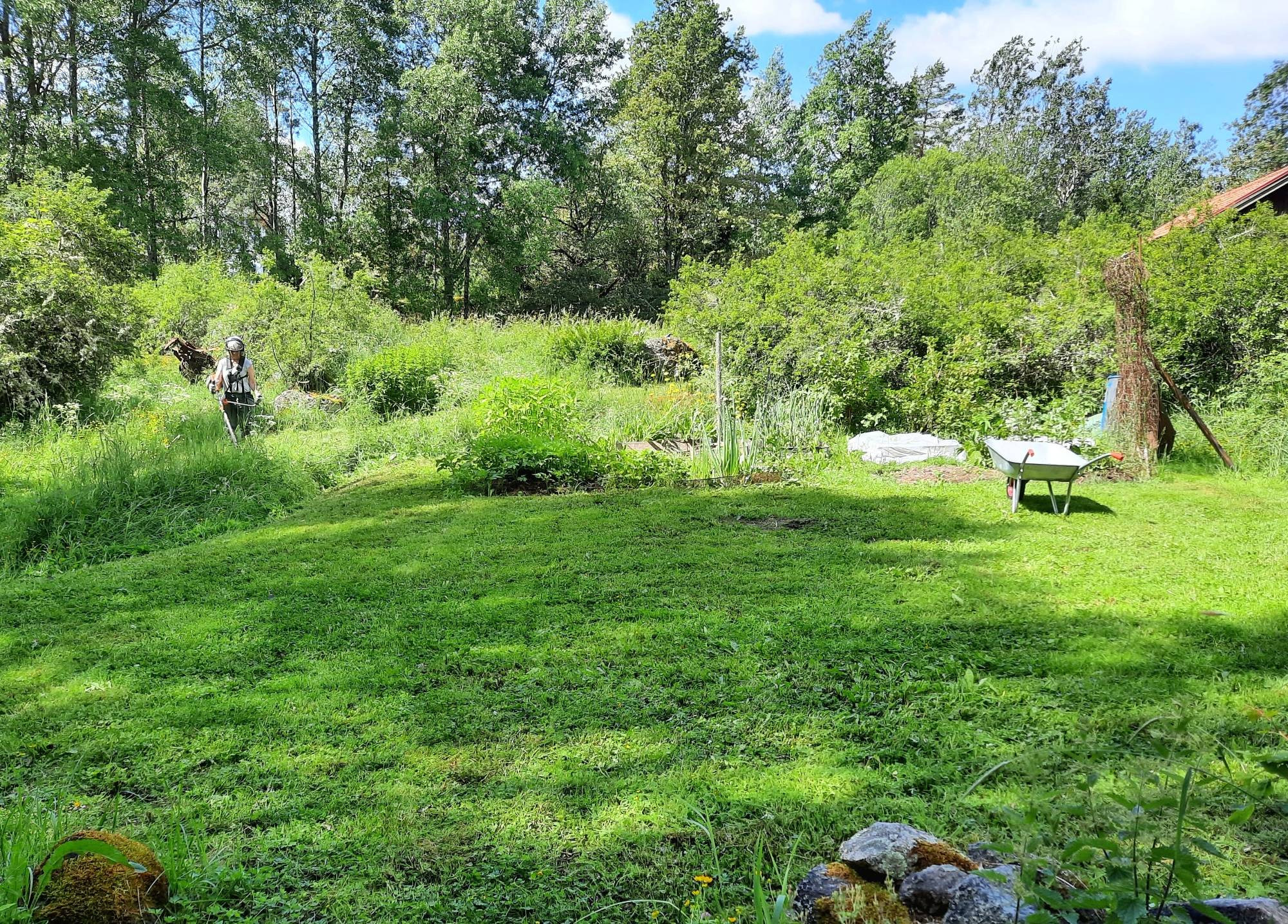 Vegetable garden