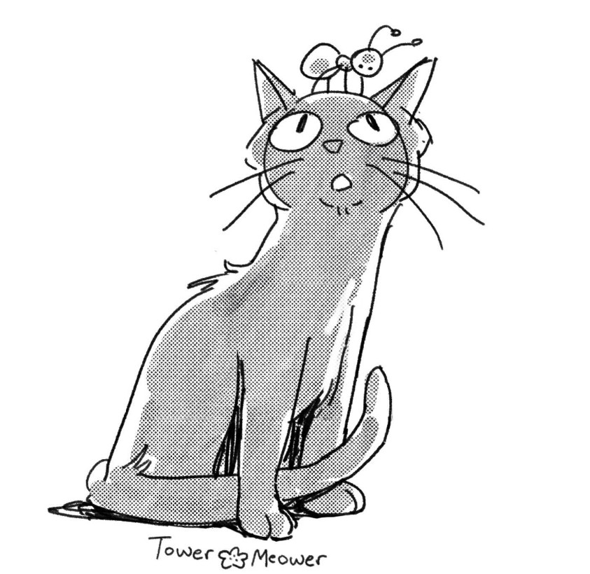 A black cat looks wearily at a large curious ant on her head