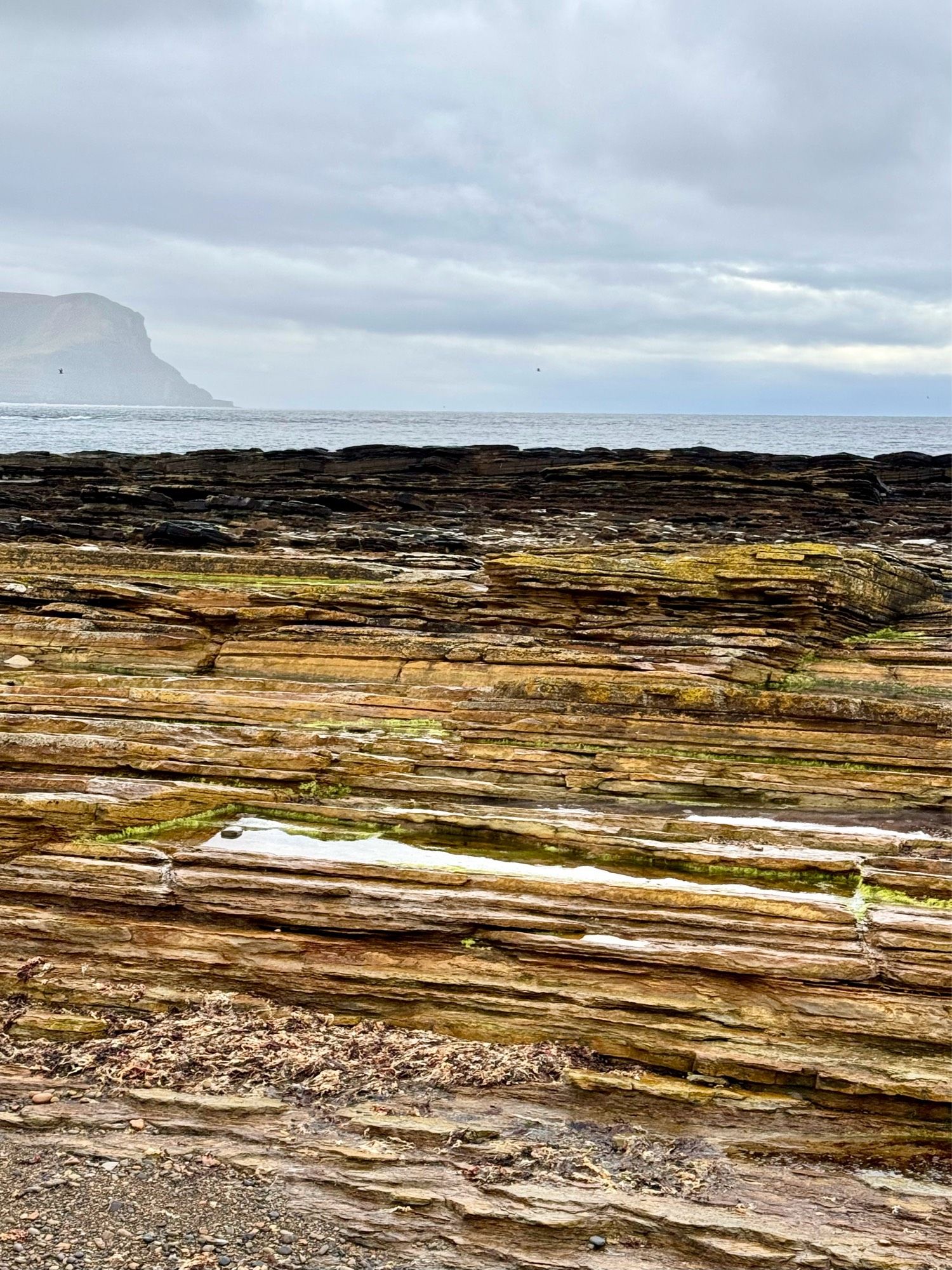 more stripey rock looking like layers of flakey pastry with the sea and cliffs far off in the background