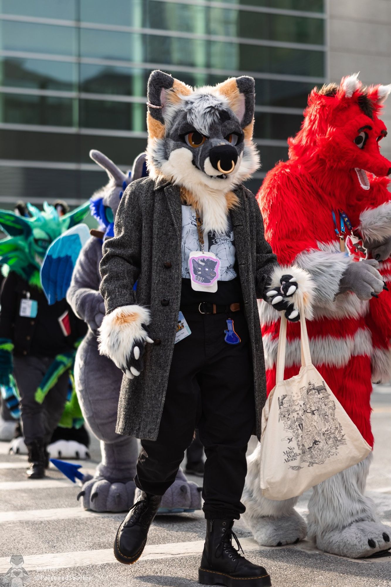 Silver the grey fox walking in the ANE 2024 fursuit parade!