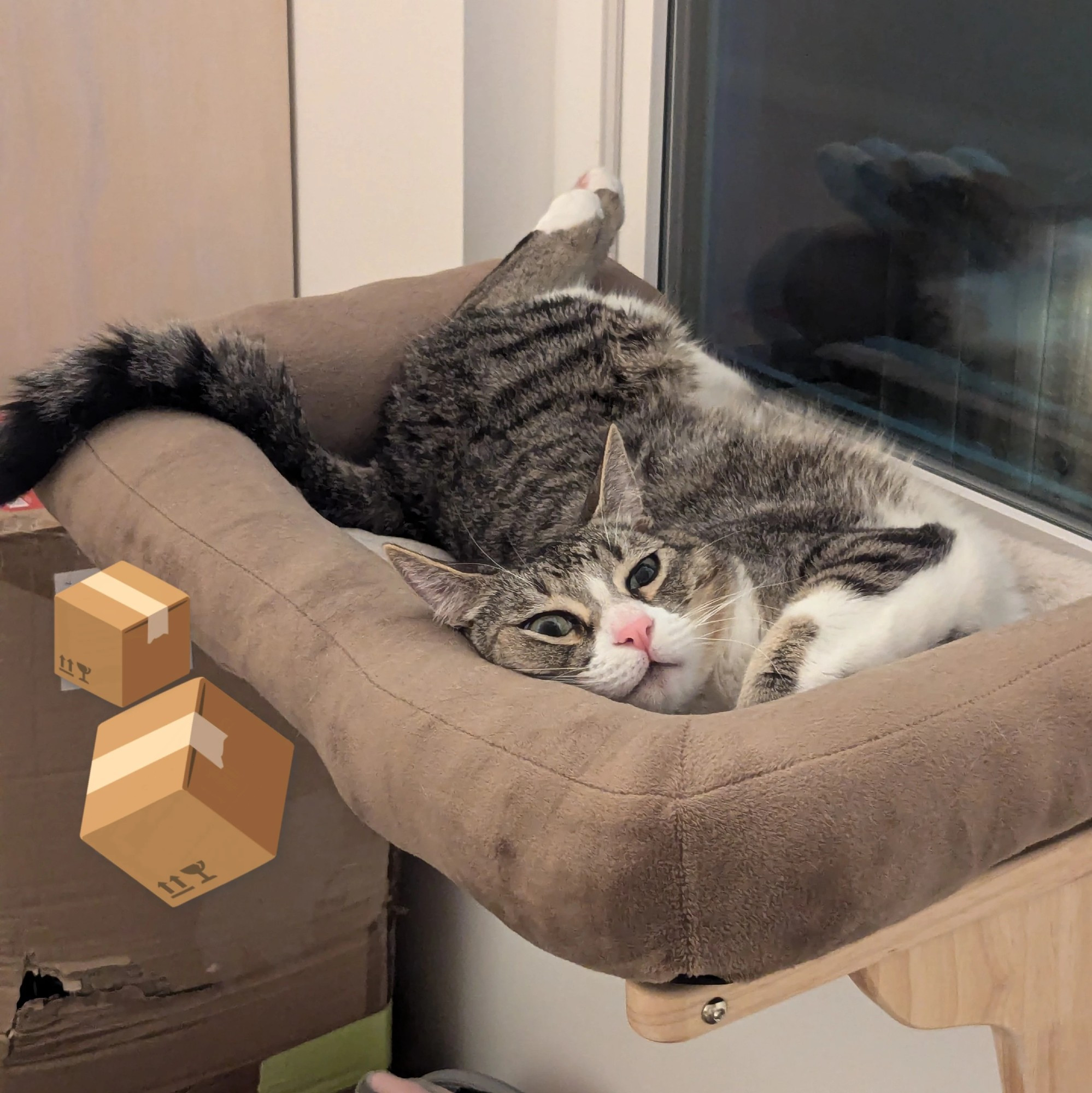 a gray tabby cat sprawled out on a window seat making a silly face