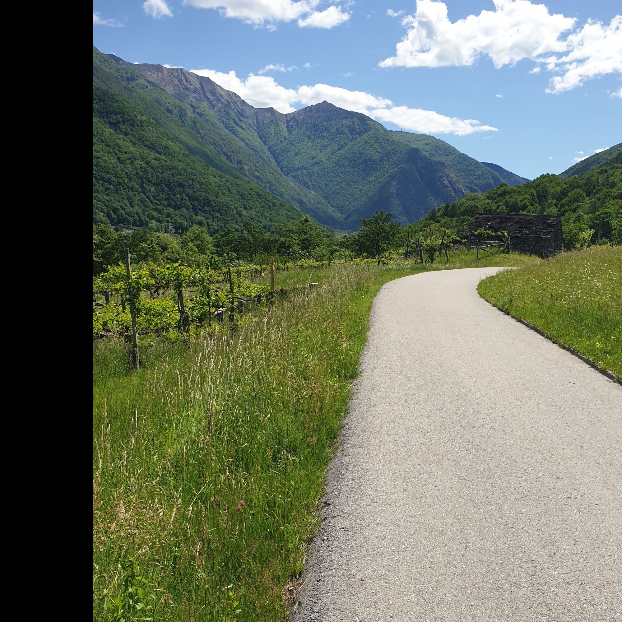 Feldweg im Maggiatal mit Bergen im Hintergrund.