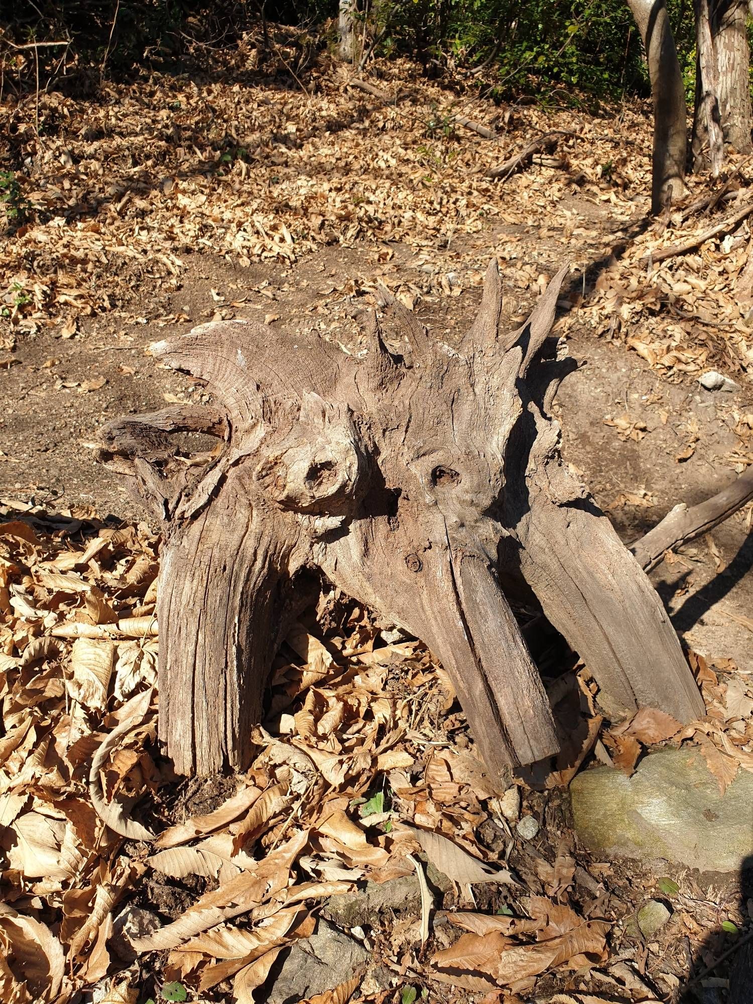 Fabelwesen tarnt sich als Holzwurzel im Laub.