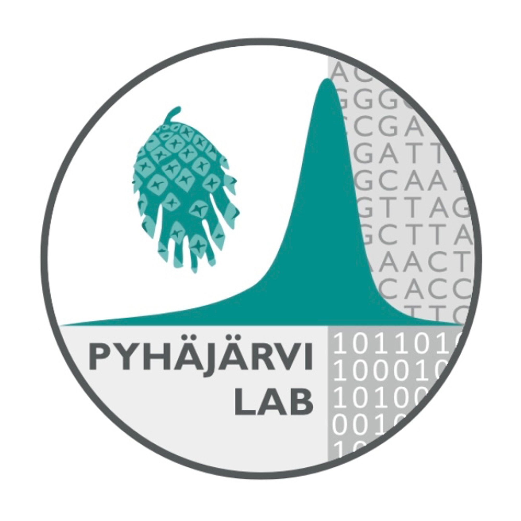 The logo for Prof. Tanja Pyhäjärvi's research group. They are based at the University of Helsinki and study forest genomics and breeding. 
The logo includes a distribution of fitness effects (a graphic representation of the mutation effects on the organism), a pine cone to symbolize plant reproduction, letters of genetic code (ATCG), and 0/1 numbers to signify numerical methods.