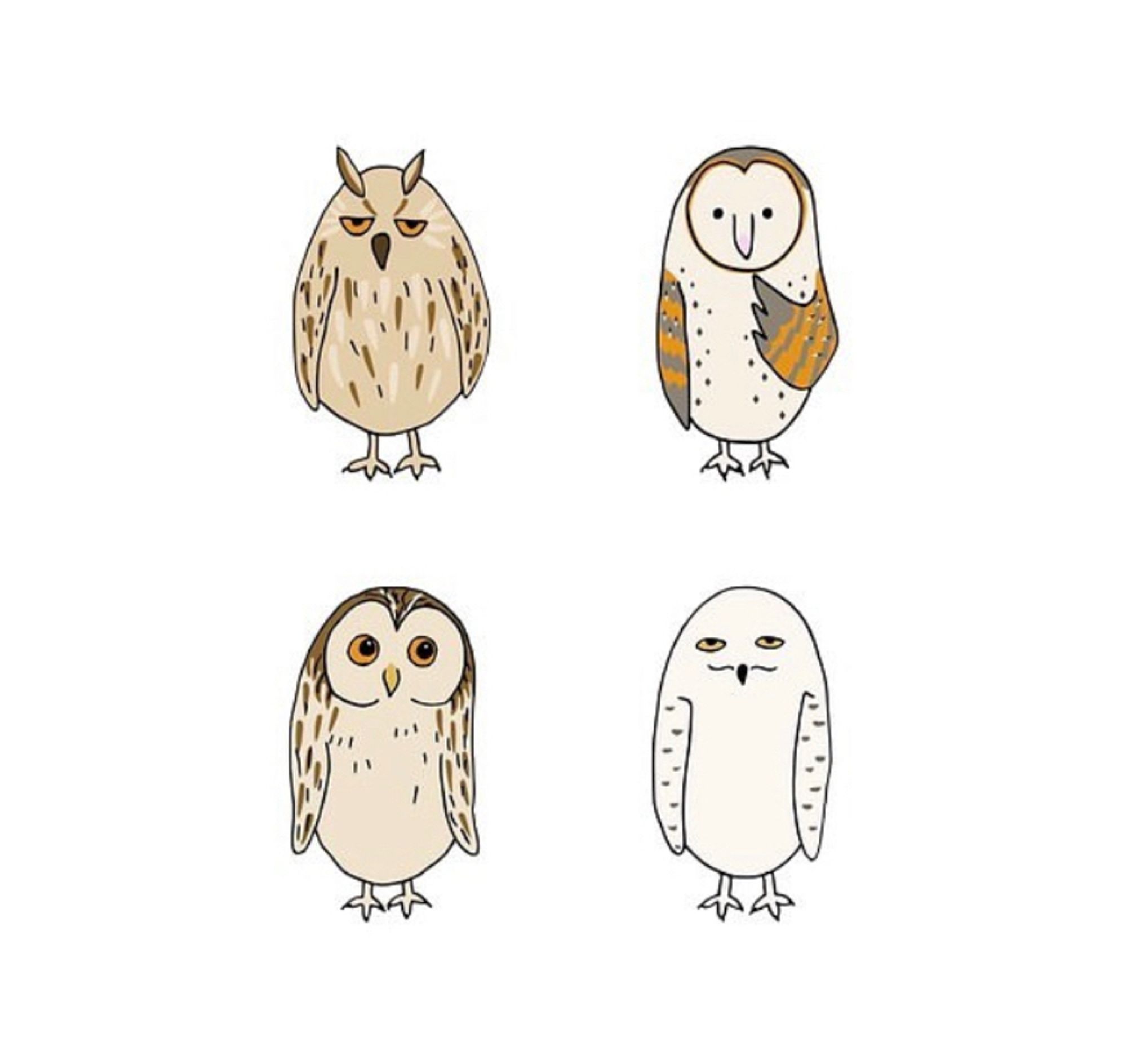 A comic style illustration of 4 species of European owls (sizes not to scale). Top left: eagle owl (Bubo bubo); bottom left: tawny owl (Strix aluco); top right: barn owl (Tyto alba); bottom right: snowy owl (Bubo scandiacus)