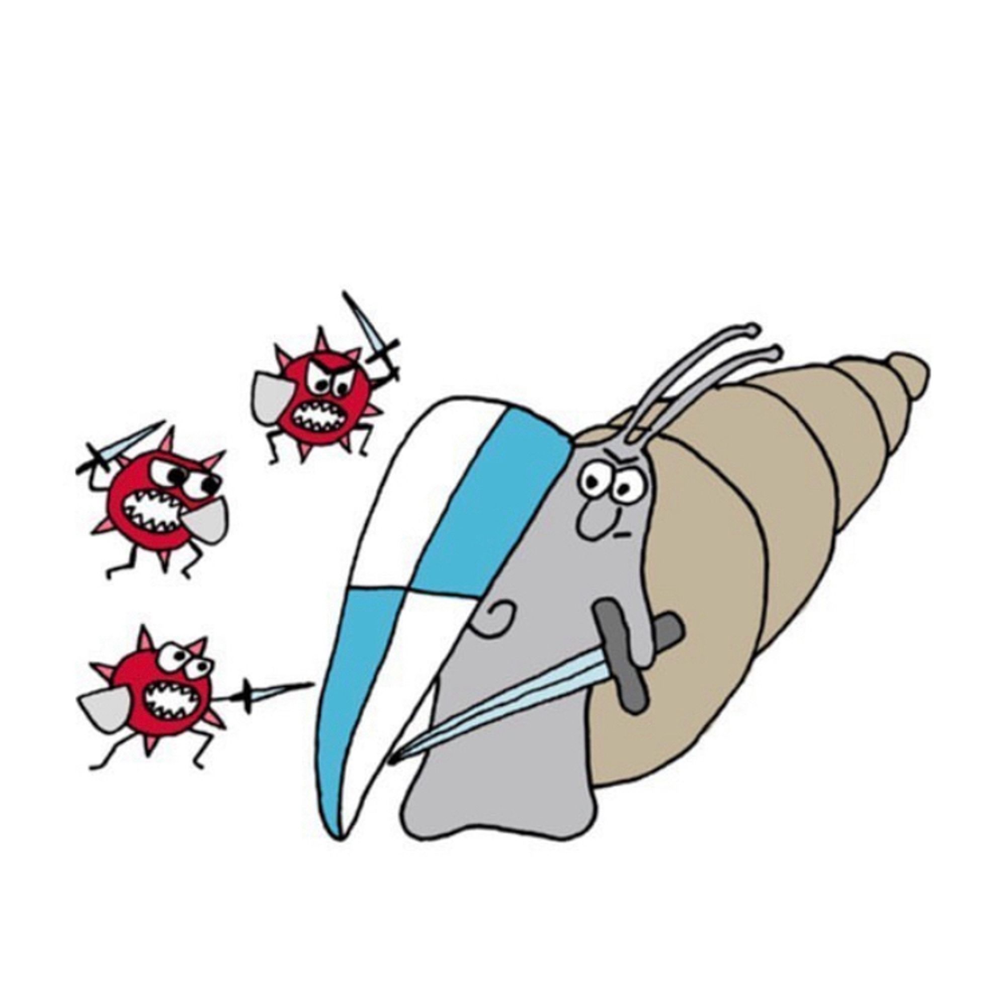 A cartoon style drawing of a snail holding a sword and shield with three little spiky creatures attacking it with their own tiny swords. It was made to illustrate host-parasite interactions - the study system of my PhD dissertation were the New Zealand mud snails Potamopyrgus antipodarum and their trematode parasites