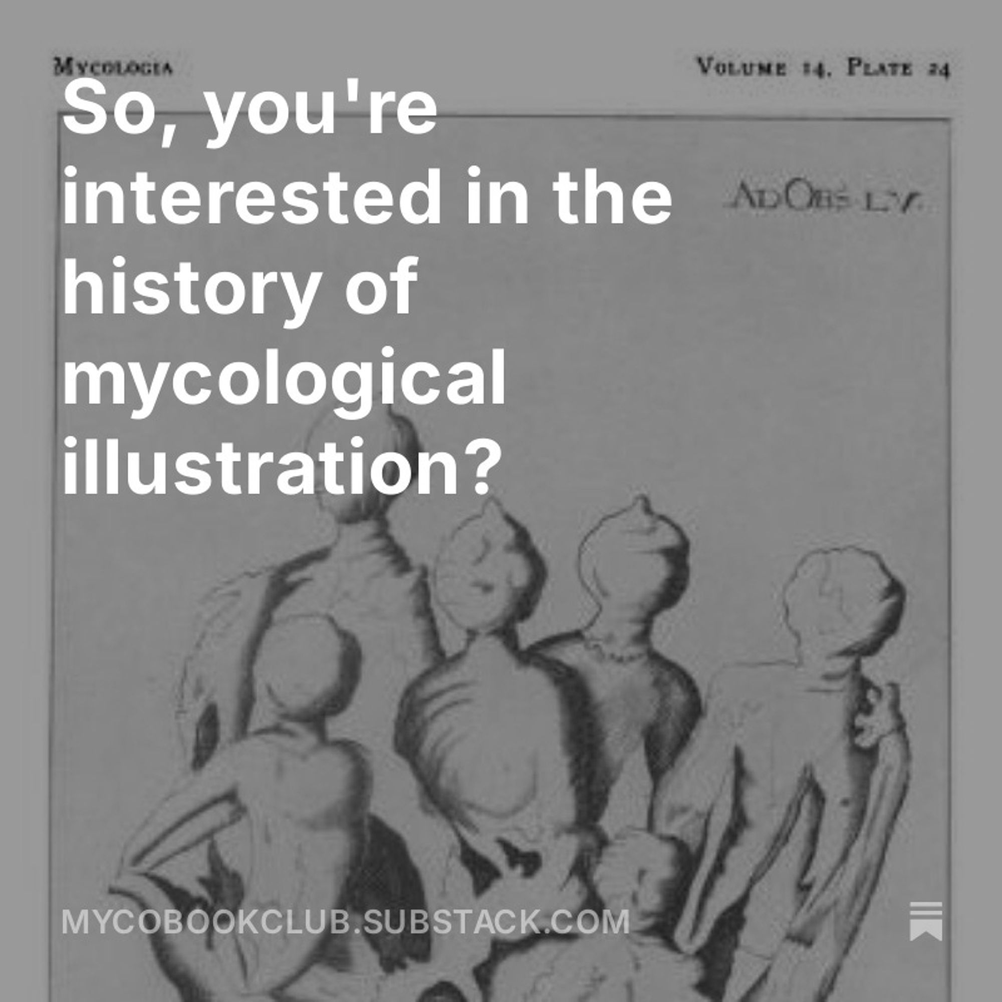 Text reads "So, you're interested in the history of mycological illustration" against a background of a weird old illustration of human-like figures in fungus form.