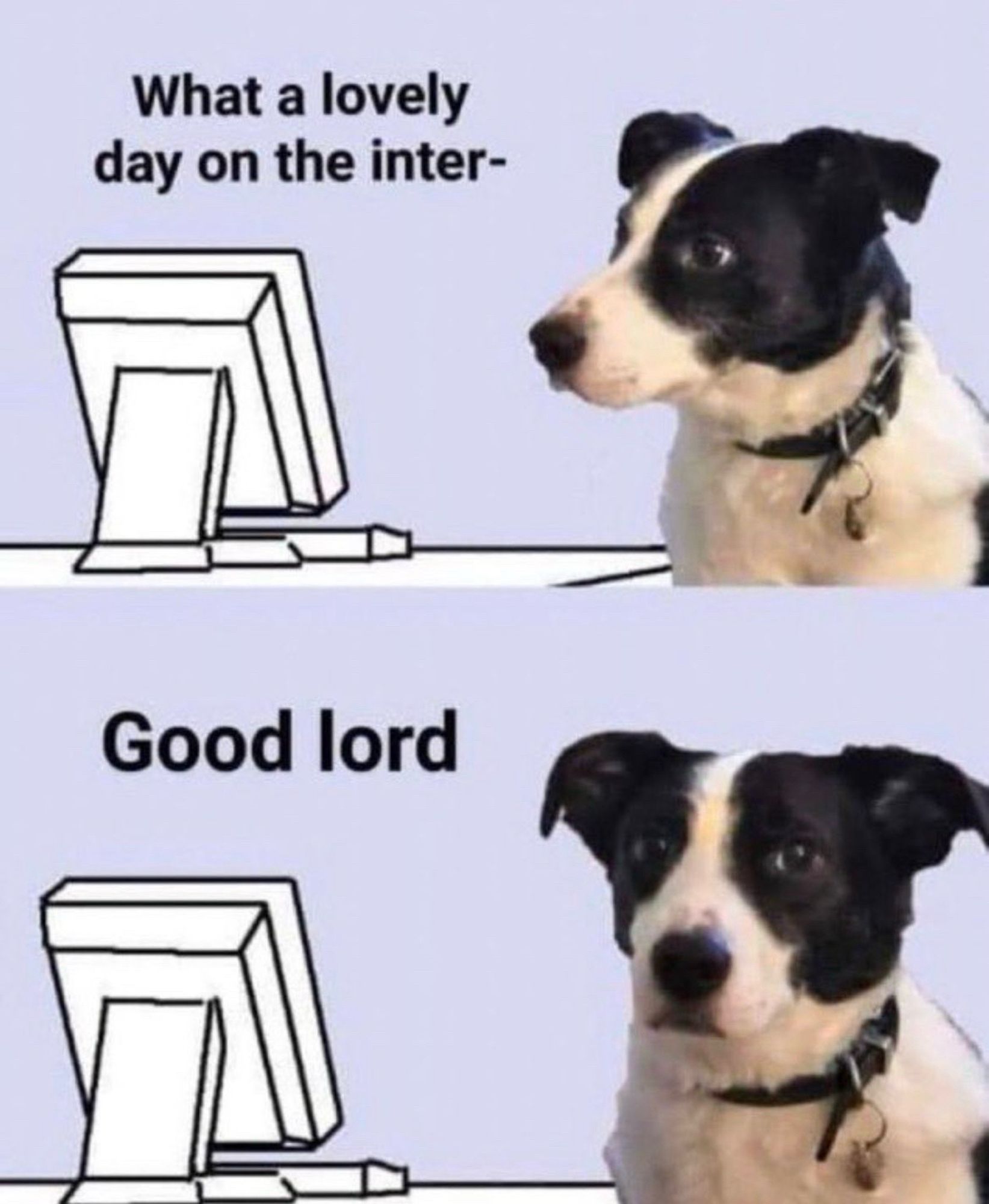 Dog at computer: What a lovely day on the inter-
Dog looking to camera: Good lord