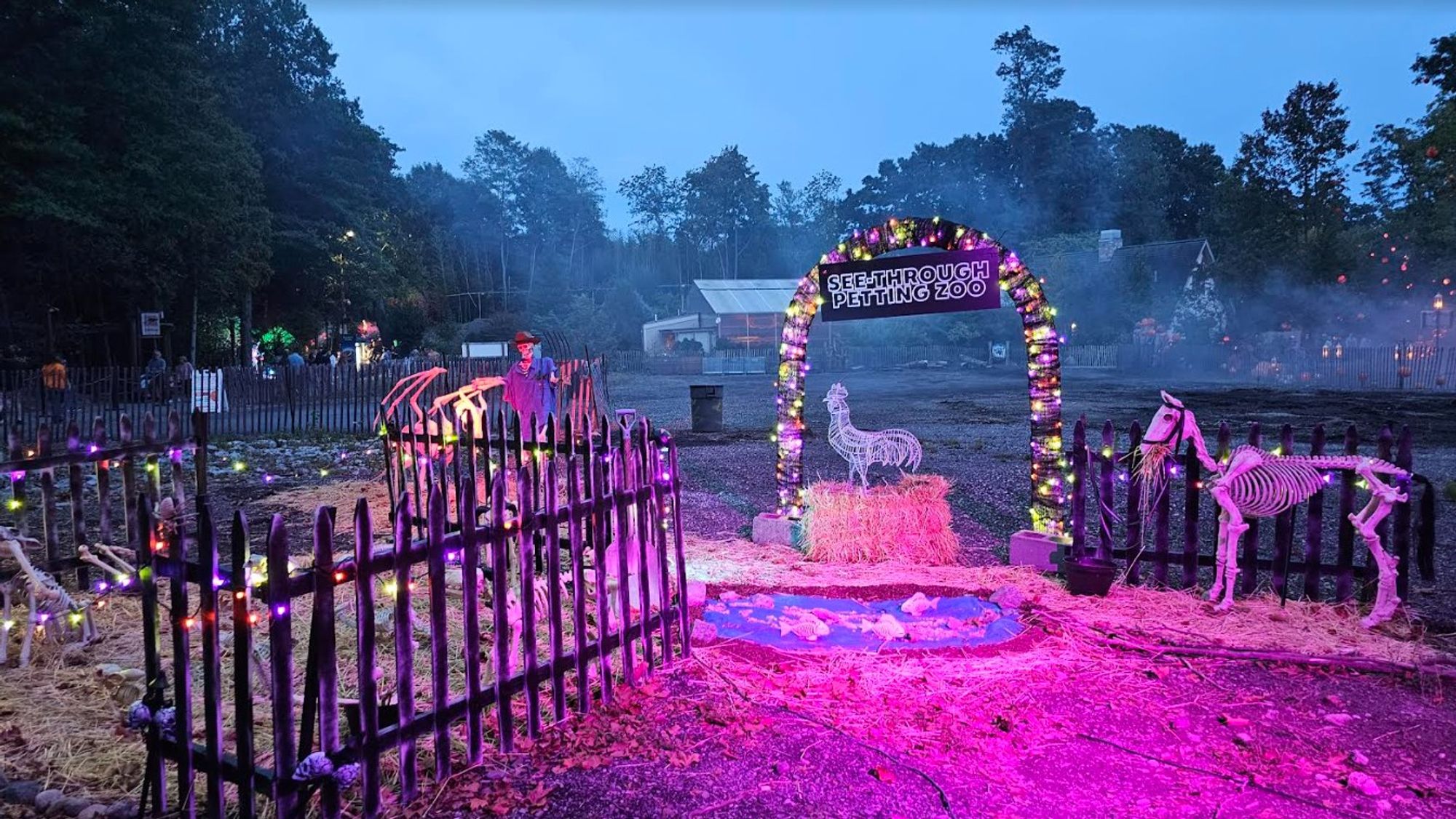 a scene featuring skeletal animals against a glowing neon pink backdrop. the text reads "see through petting zoe". it's a halloween display.