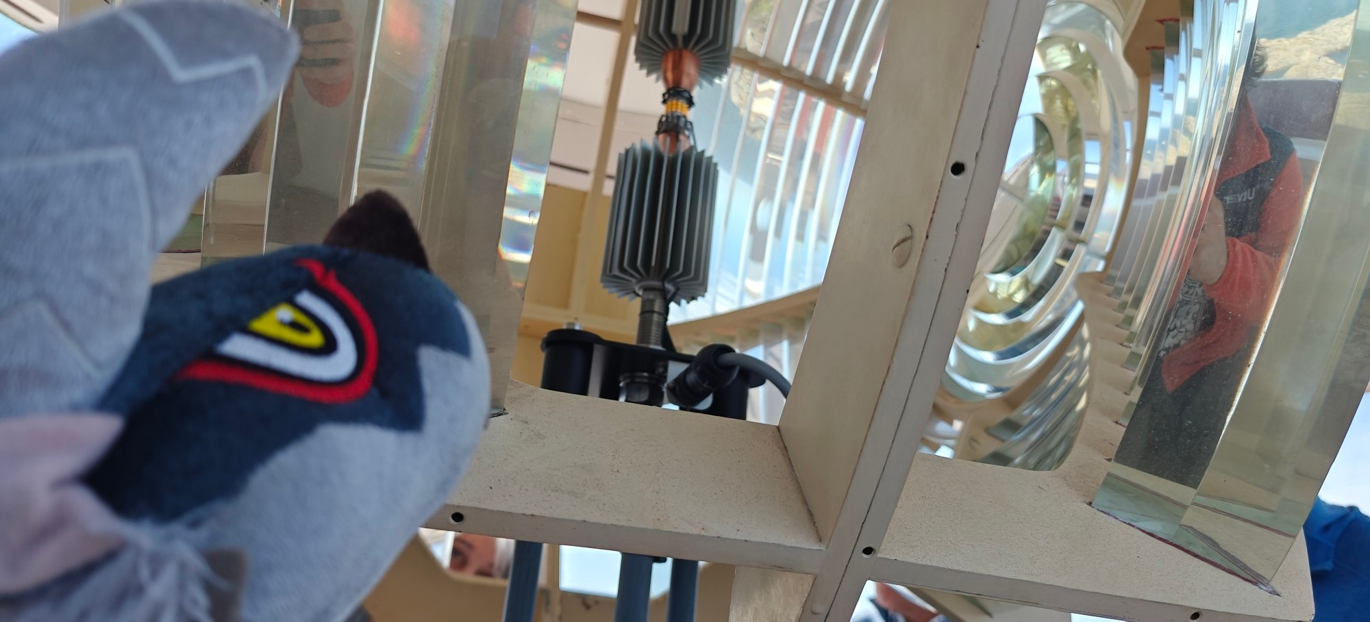 Deformed Stygian Zinogre plushie looking at the inner workings of a Lighthouse light. You can see the LED Light Source between the Fresnel Lenses