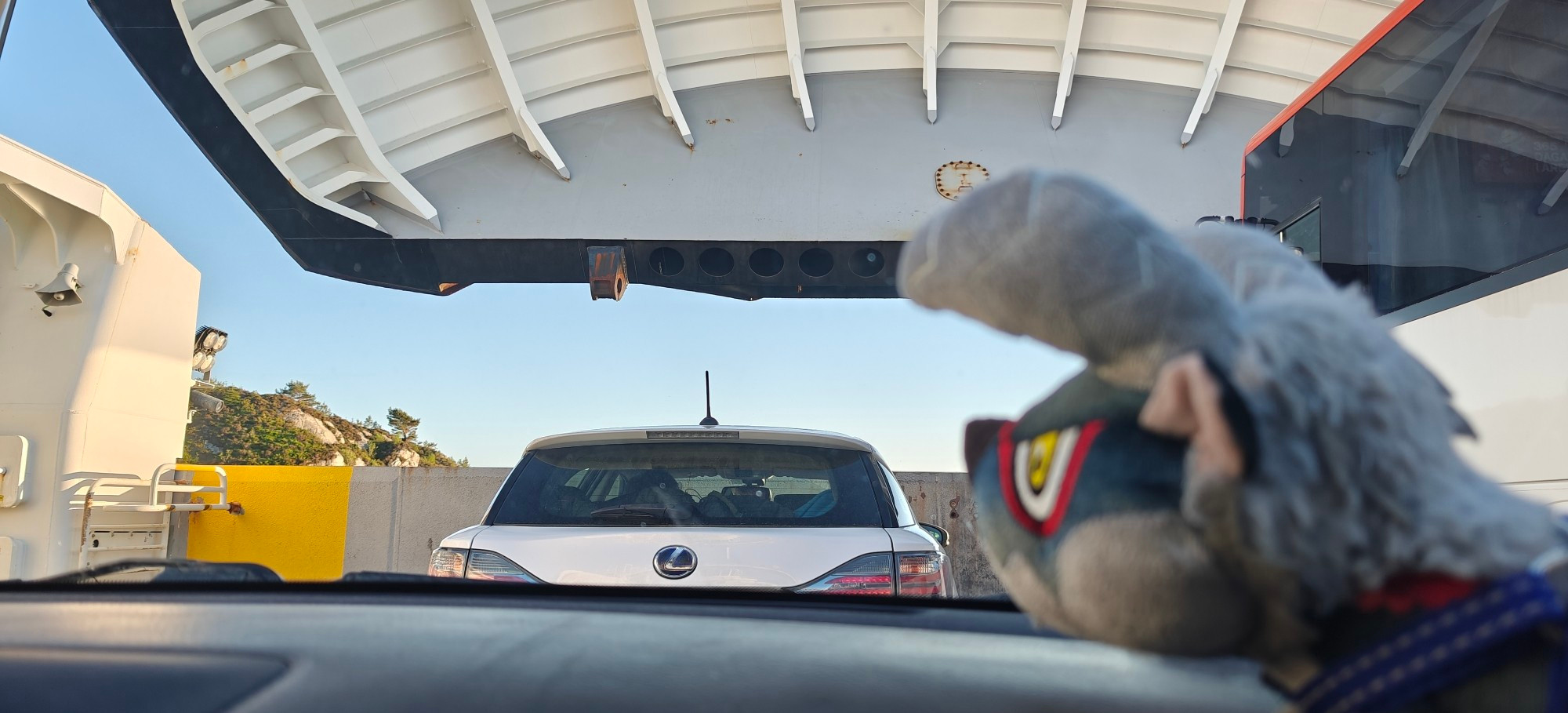 Deformed Stygian Zinogre plushie looking out the front window of a car on a ferry. The ferry is close to shore