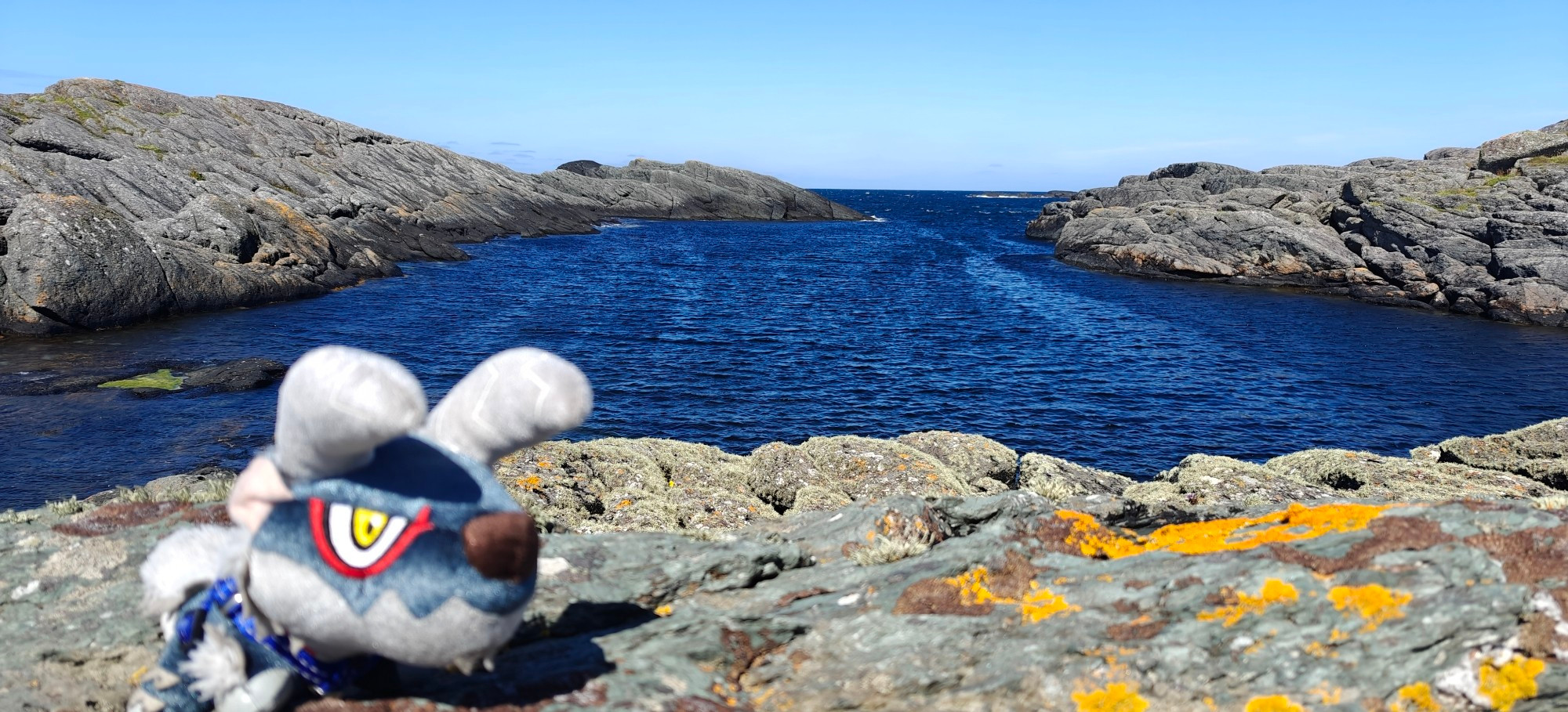 Photo of a Stygian Zinogre plushie on a rock in front of a windy sound leading into open ocean. It's sunny