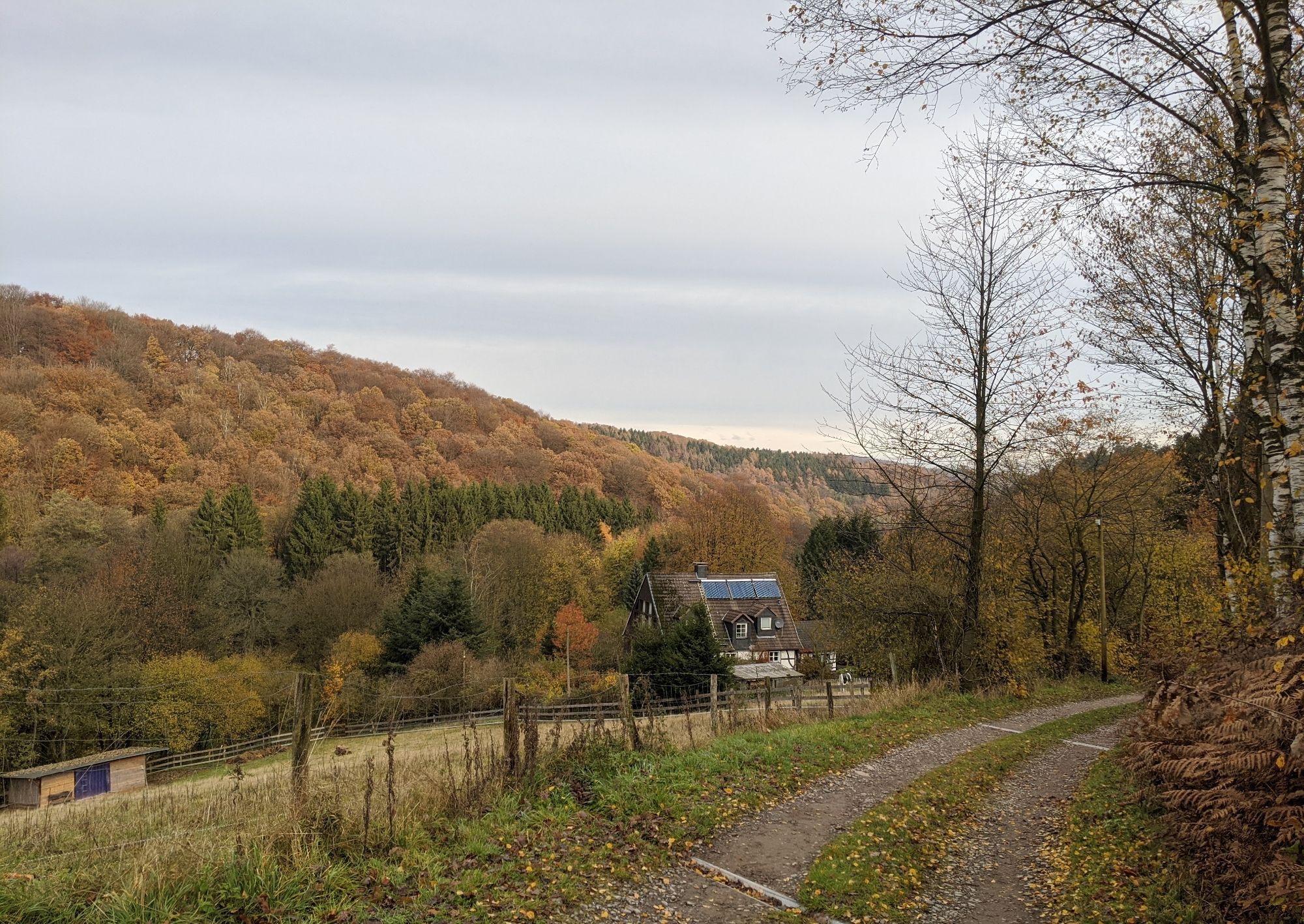 Ausblick auf einen Wanderweg von einer Anhöhe aus ins Tal. In dier Mitte des Bildes ist ein weißes Haus mit dunklen Dach zu sehen. Drumherum dier Wald im Herbstgewand. Auch auf den dahinter liegenden Hügel sind komplett Bäume zu sehen.
Graue Wolken sind am Himmel zu sehen.