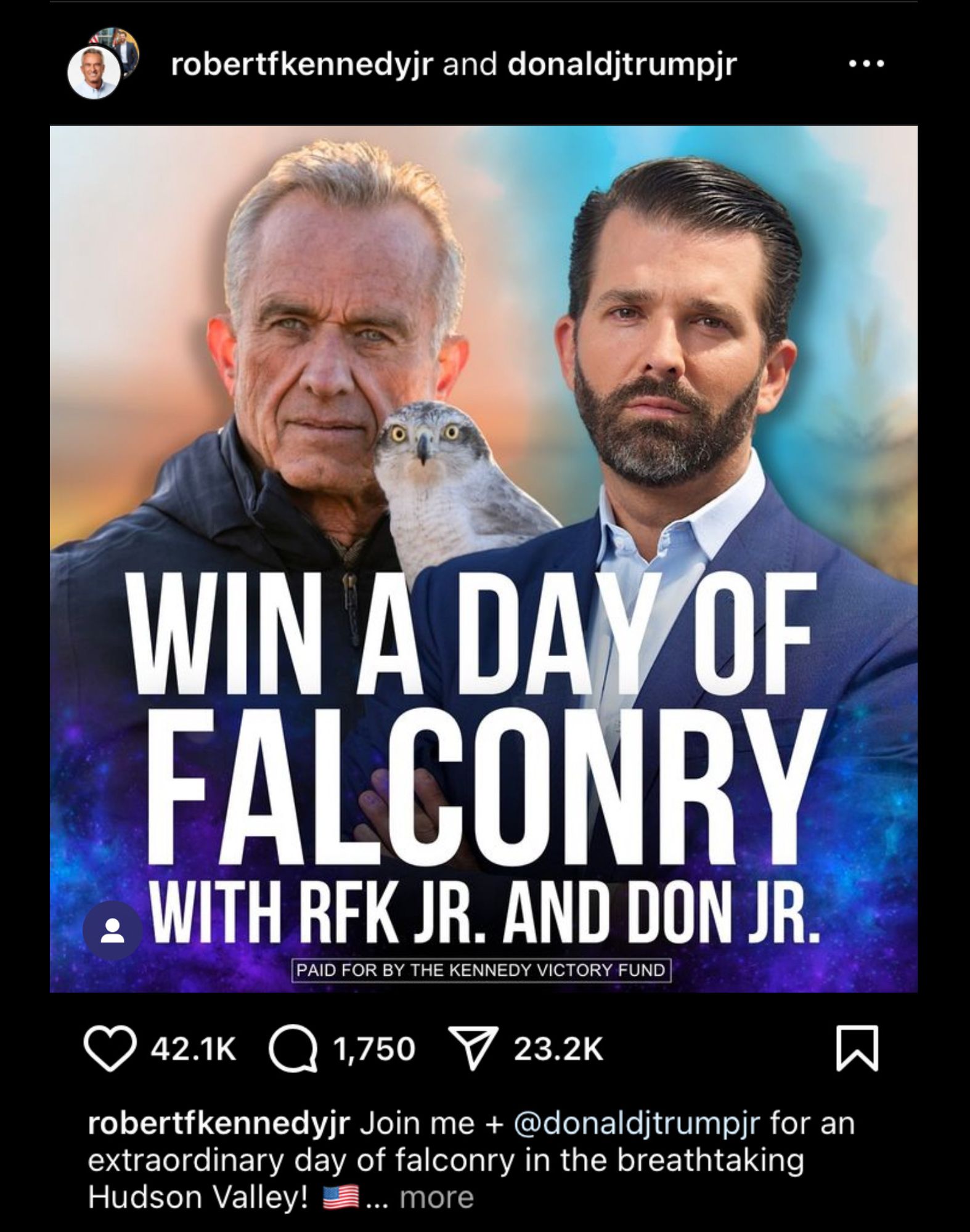 An Instagram post showing a photo of RFK Junior and Donald Trump Junior, Along with a falcon, with the caption: Win a day of falconry with RFK Junior and Don Junior.