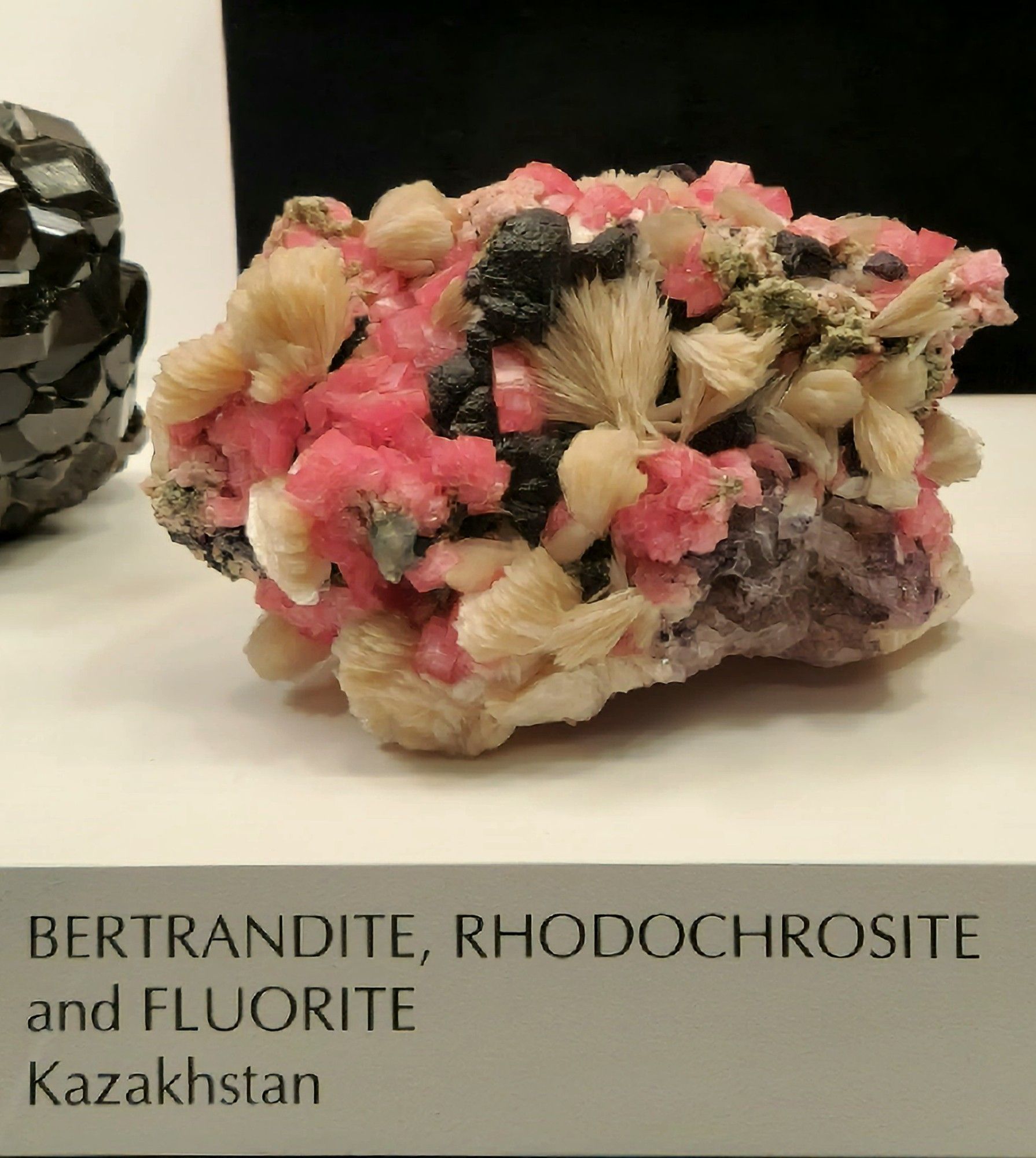 Curious specimen with pink rhodochrosite, off-white books of thin tabular bertrandite and purple fluorite cubes.
Label reads: BERTRANDITE, RHODOCHROSITE and FLUORITE Kazakhstan