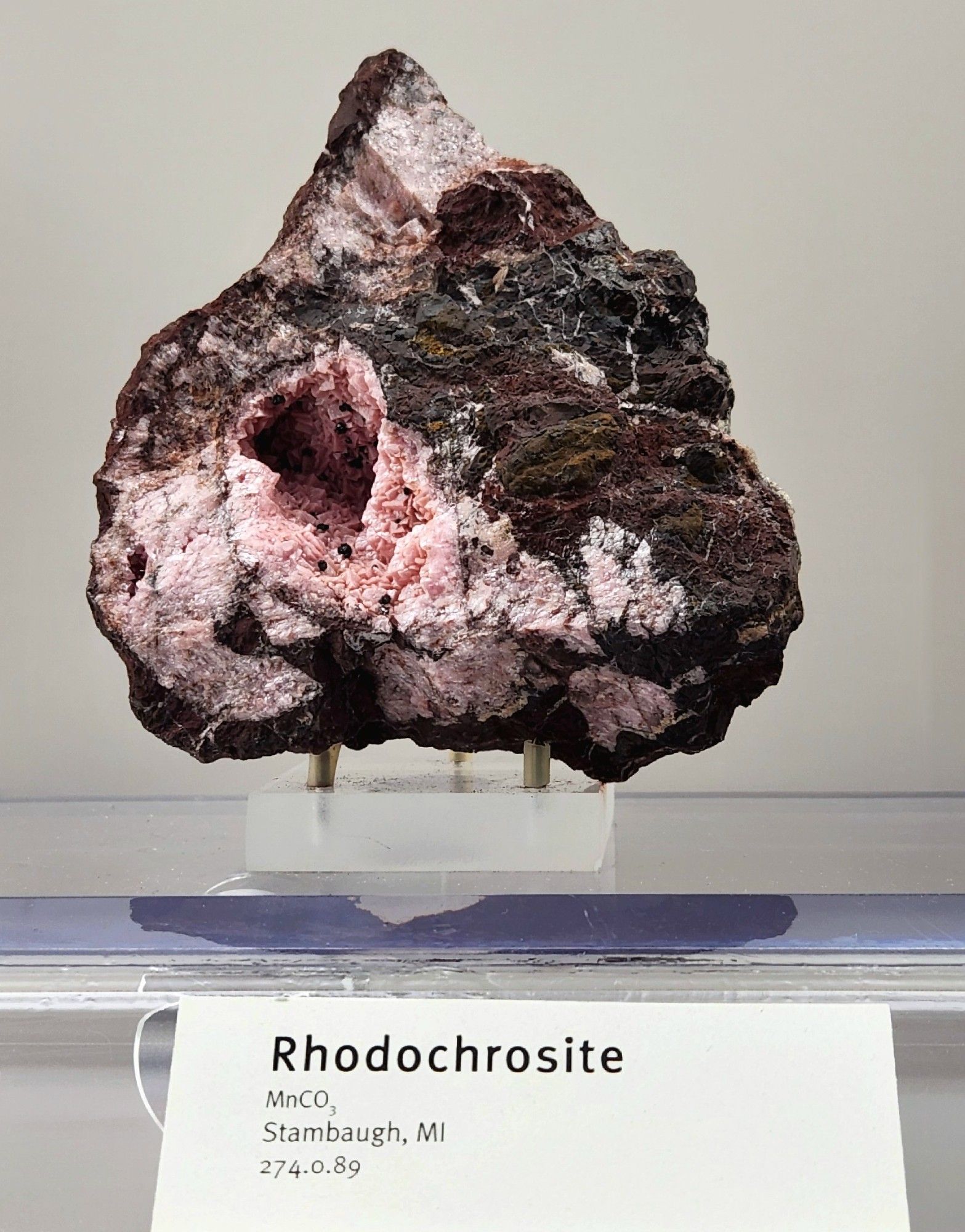 Rough-surfaced dark brown rock with some yellow and red highlights hosts pepto bismol pink rhodochrosite in a massive form overall, but as tablets within a small opening in the rock.

Label reads:
Rhodochrosite
MnCO3
Stambaugh, MI
274.0.89