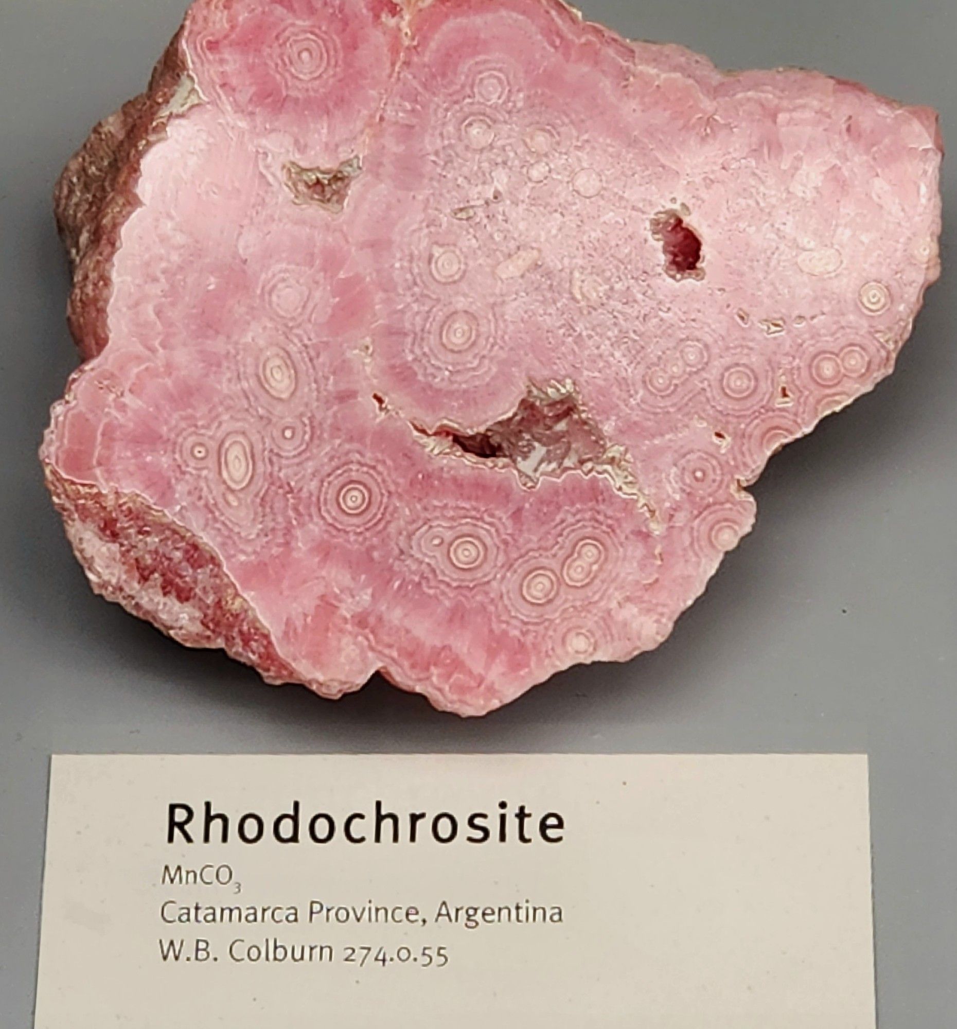 This cut and polished speleothem in shades of white to medium pink has three openings that strongly give off the impression of two eyes and a smirking grin.

Label reads: 
Rhodochrosite
MnCO3
Catamarca Provence, Argentina
W.B. Colburn 274.0.55