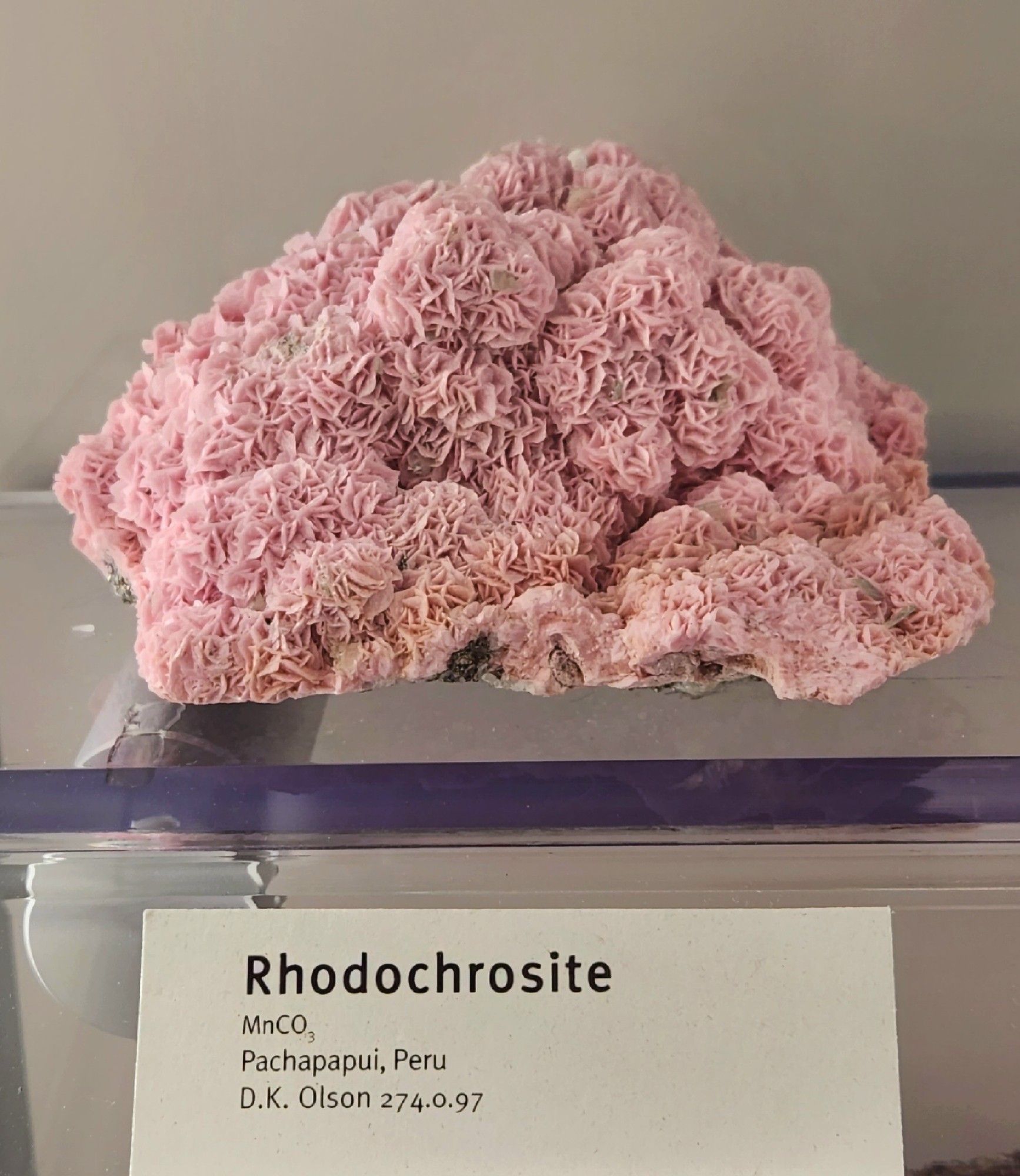 Rosettes of bladed pink rhodochrosite conform to the subsurface's undulations.

Label reads:
Rhodochrosite
MnCO3
Pachapapui, Peru
D.K. Olson 274.0.97