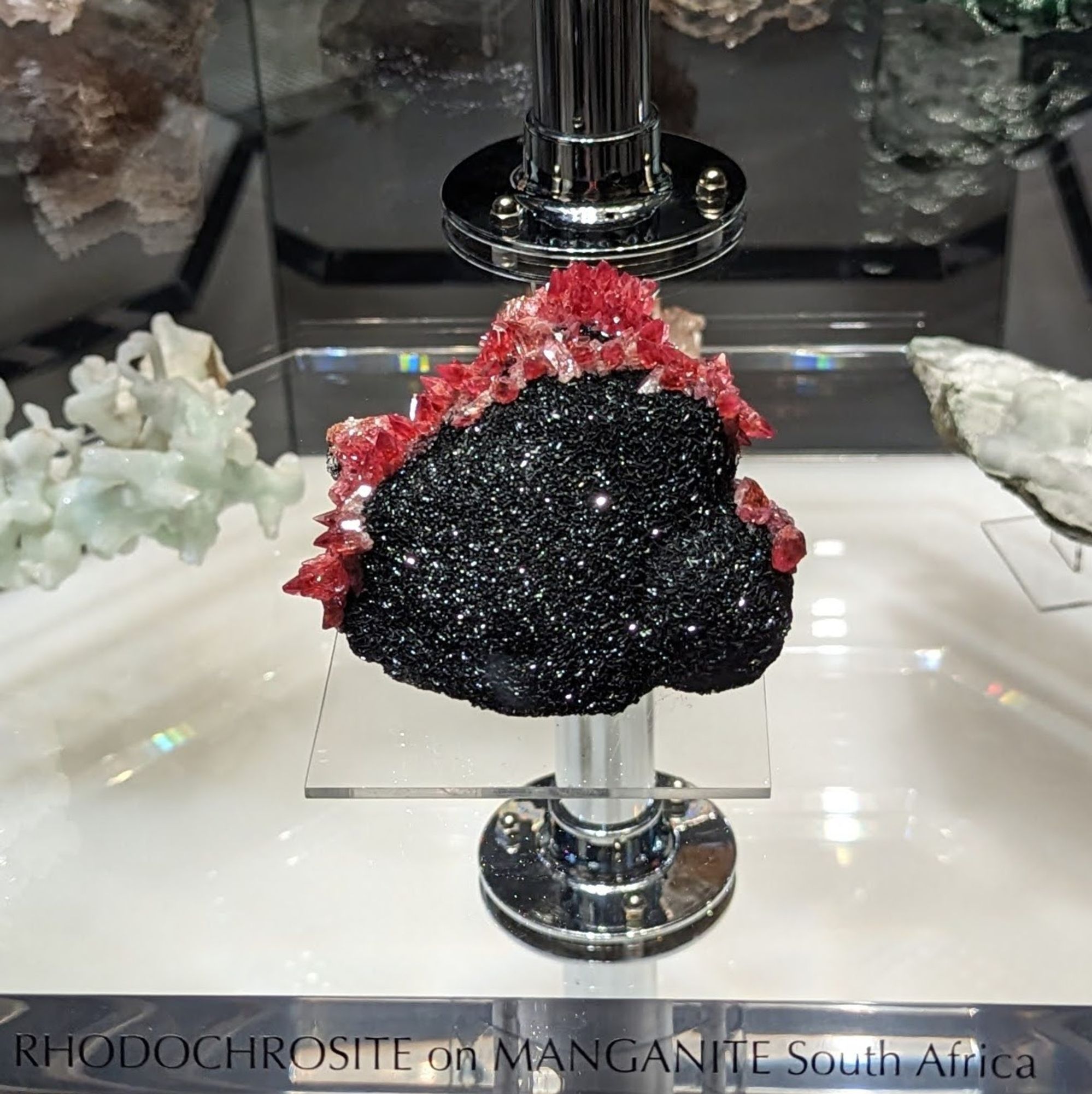 Sparkling fine-scale black manganite crystals with dogstooth gemmy red rhodochrosite crystals creeping around the manganite.
This specimen is displayed on a clear shelf labeled: RHODOCHROSITE on MANGANITE South Africa.