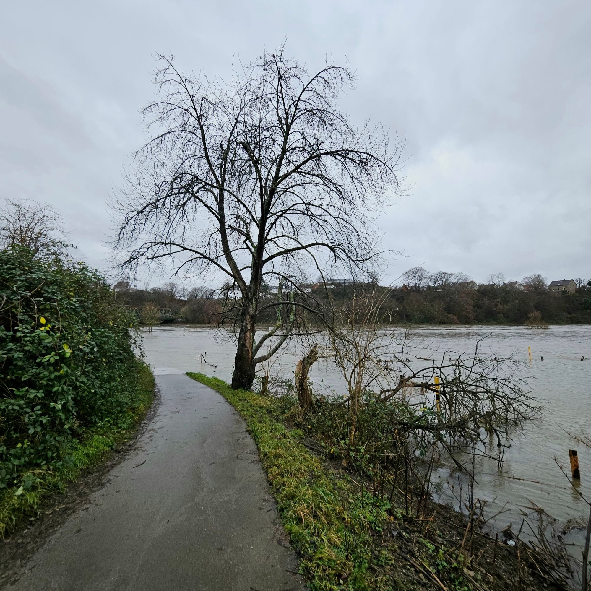 Hochwasser an der Ruhr Weihnachten 2023