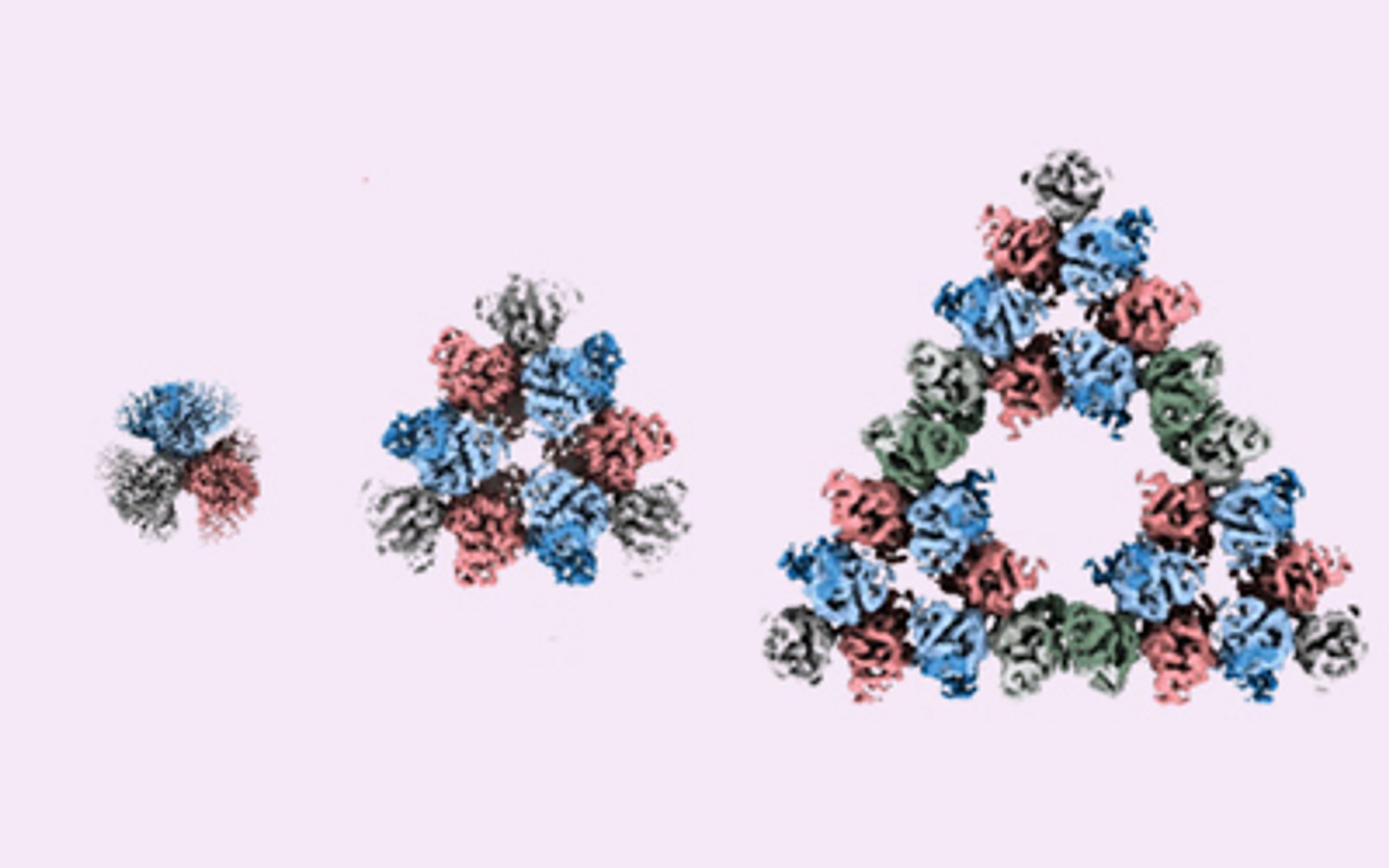 Cryo-EM density maps of Sierpiński triangles of the zeroth (hexamer), first (18-mer) and second (54-mer) fractal levels. Adapted from https://www.nature.com/articles/s41586-024-07287-2